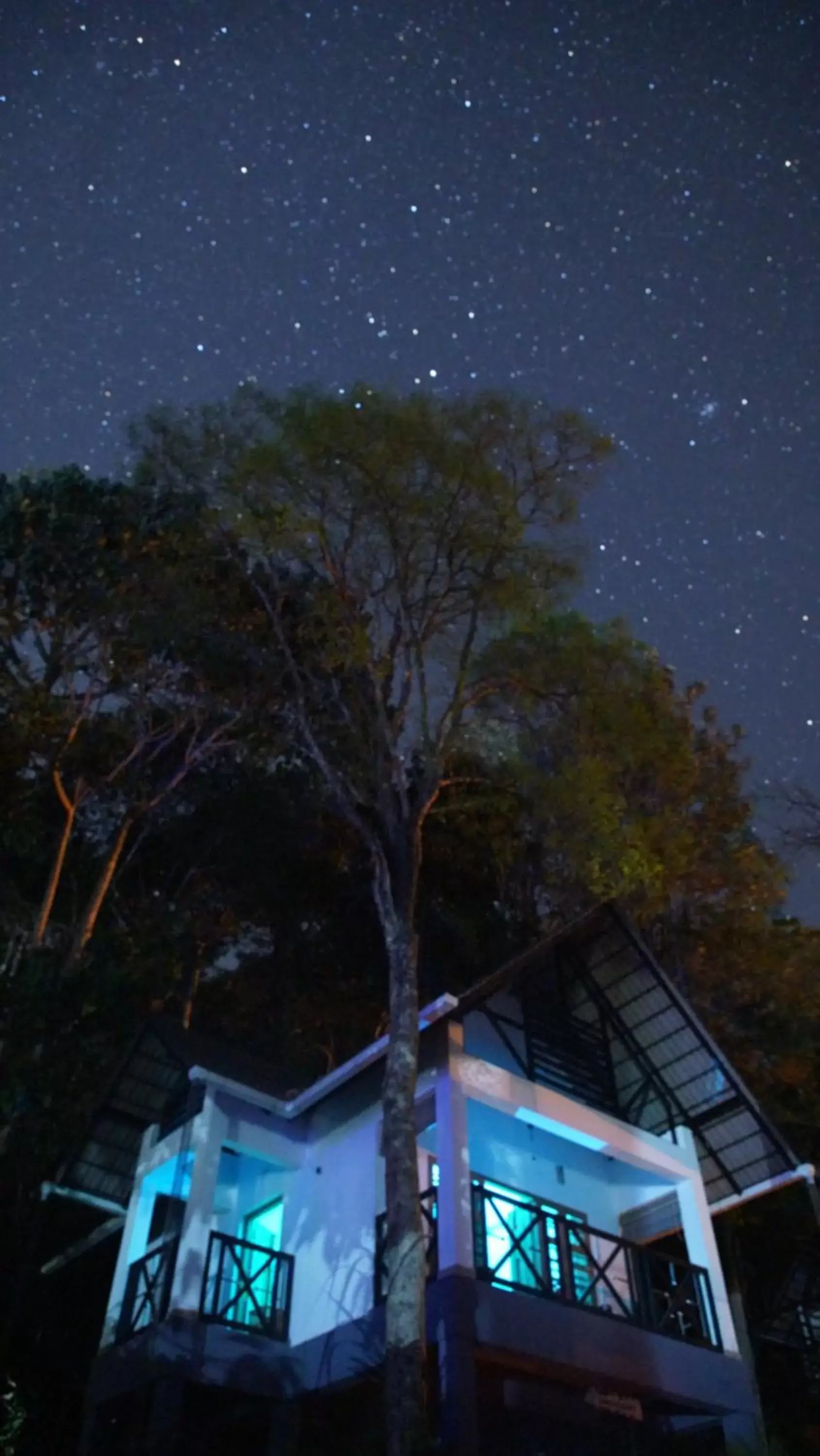 Superior Family Room in Woodrose Resort Superior Family Room in Woodrose Resort