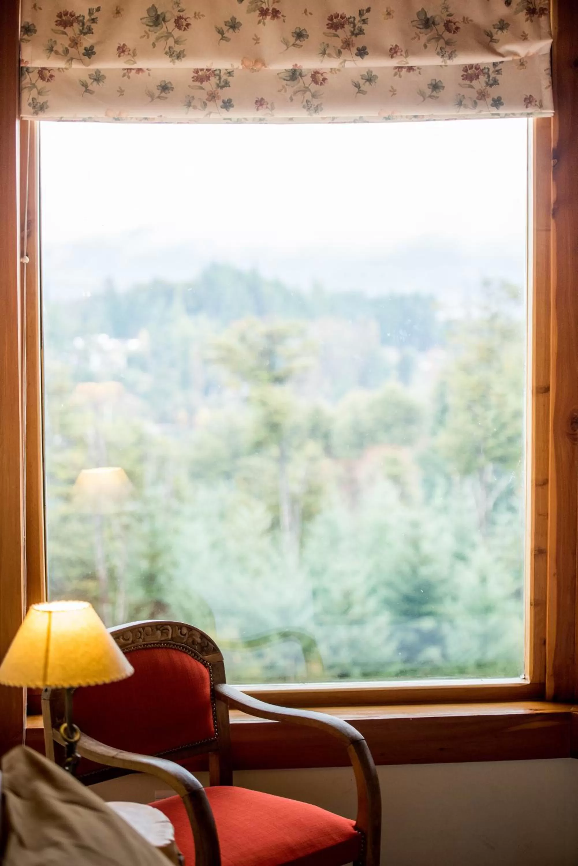Decorative detail, Seating Area in Amigos del Bosque
