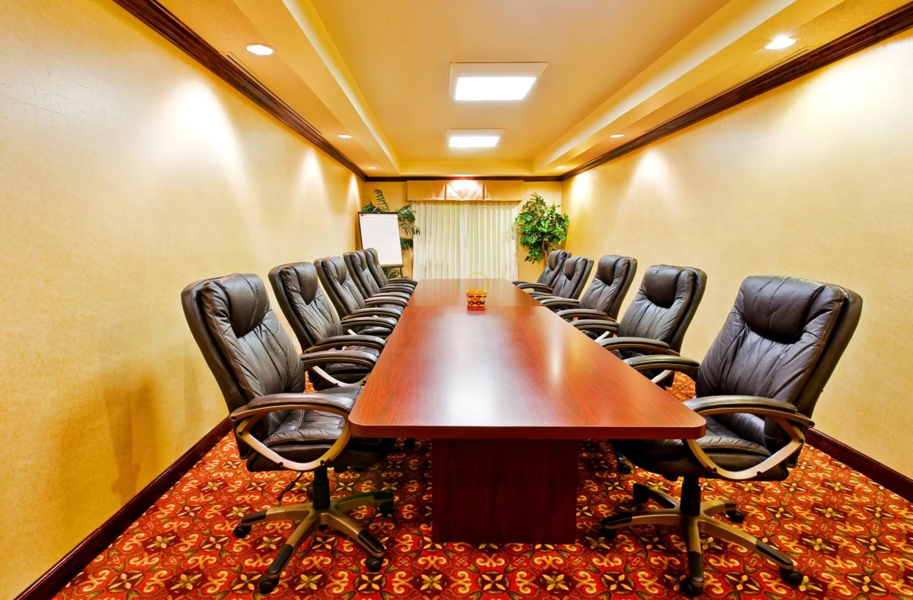 Meeting/conference room in Holiday Inn Express Hotel & Suites Dickson by IHG