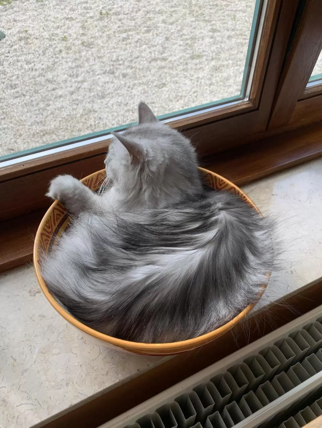 Pets in L'Étape Fagnarde - Bed, Breakfast & Sauna