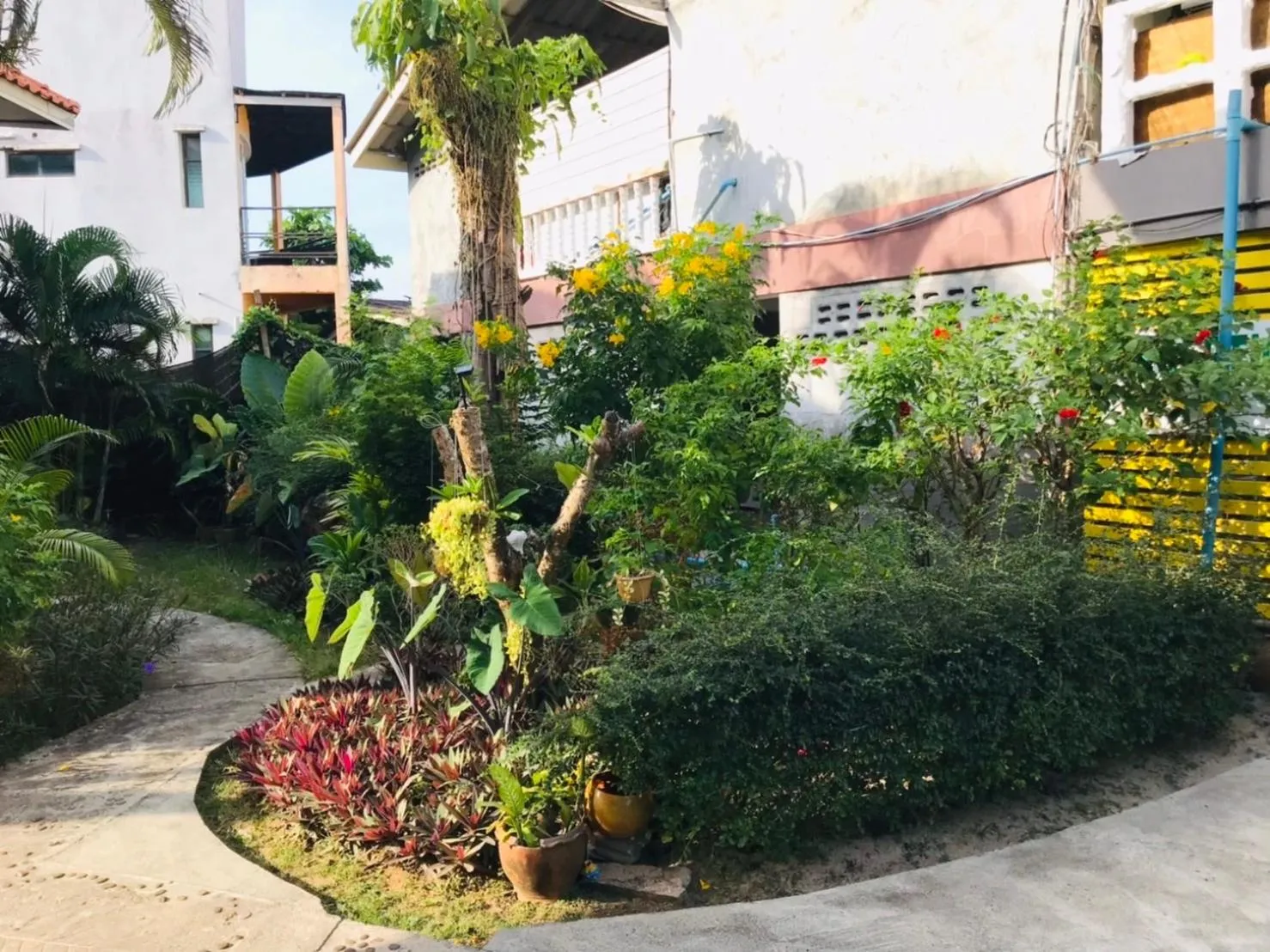 Garden in Lanta Garden Home