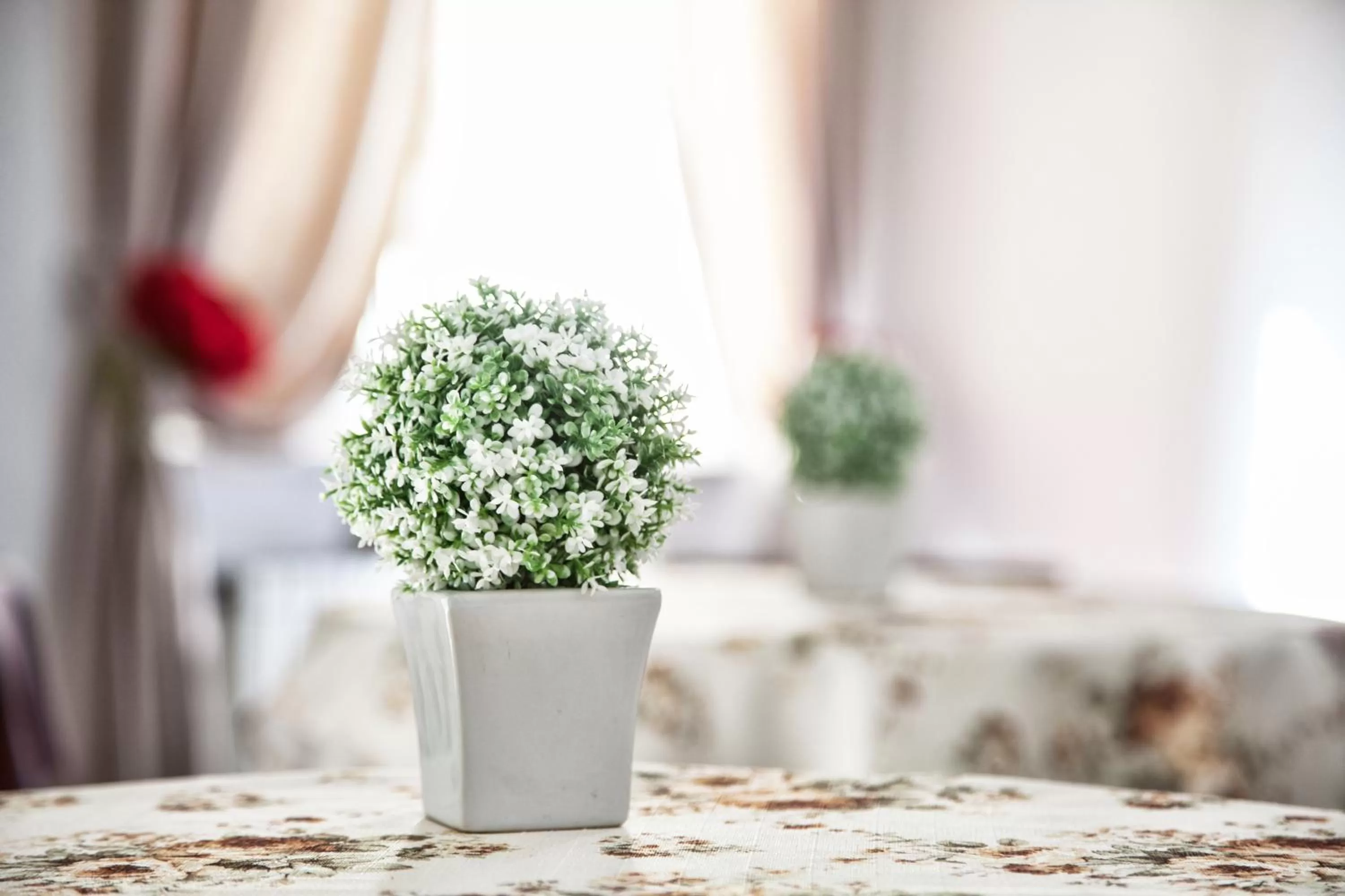 Property building in B&B Rosaly