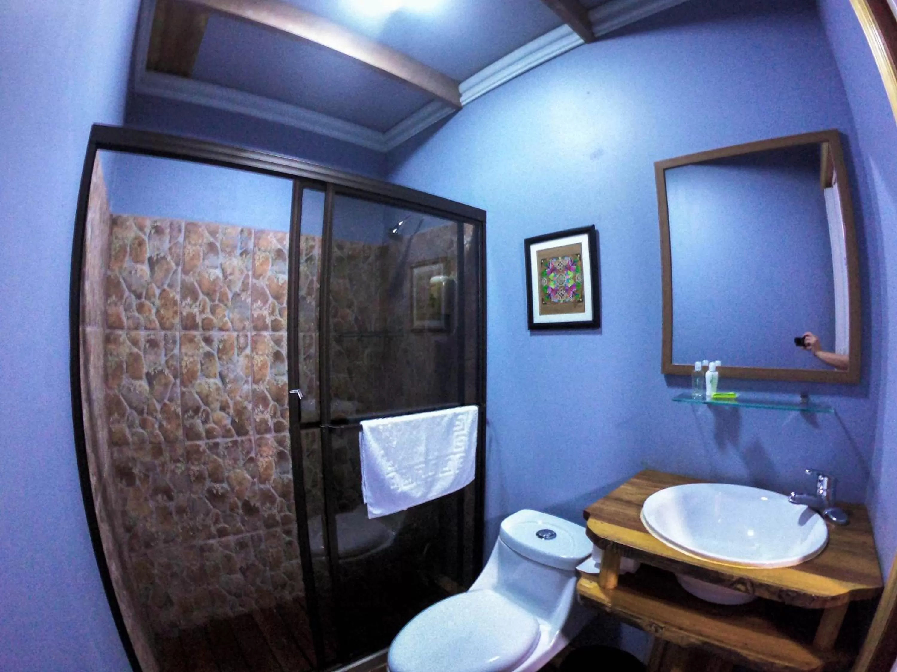 Shower, Bathroom in Hotel Hacienda Don Paolo