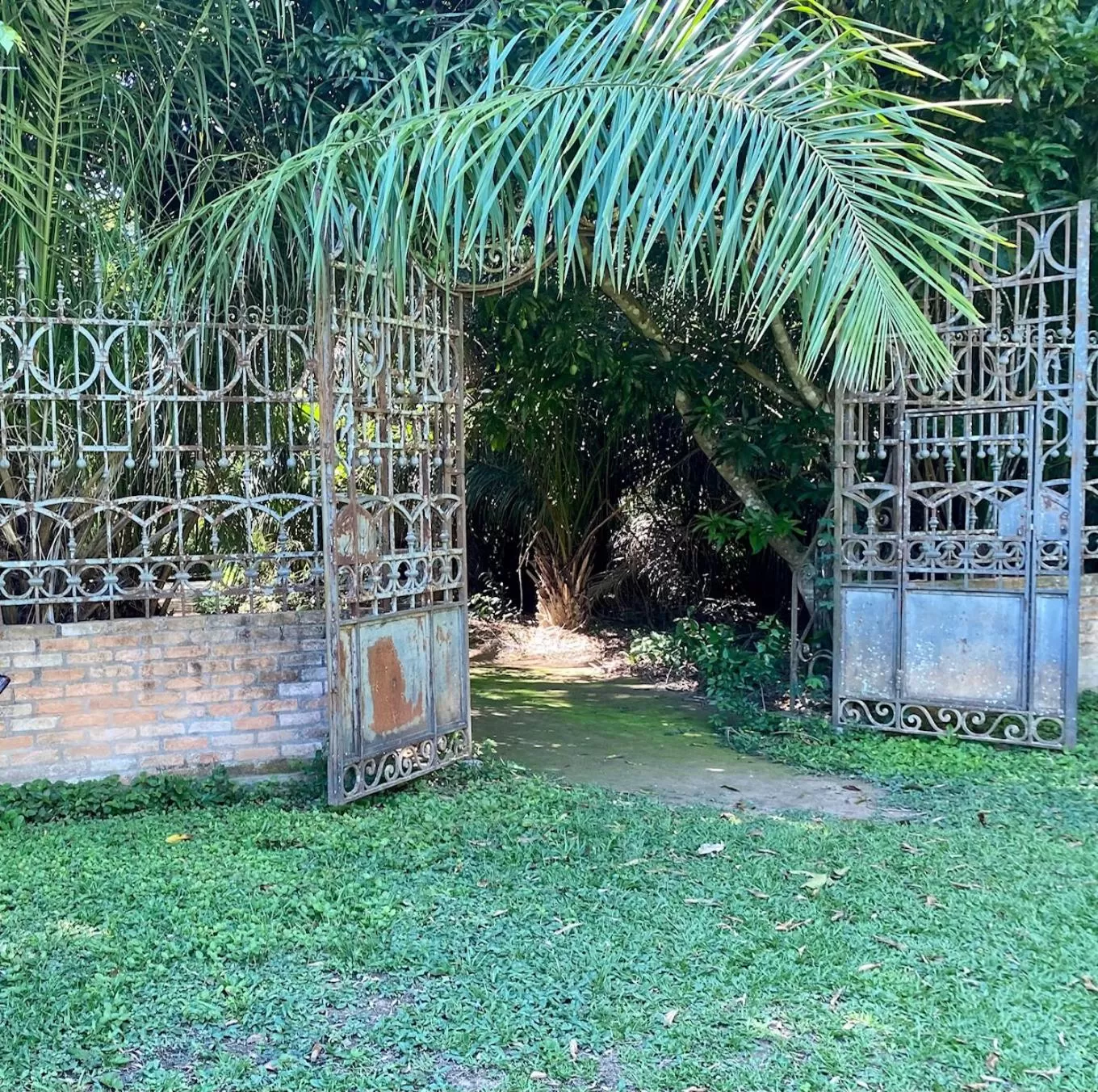 Garden in Hotel Santa Esmeralda
