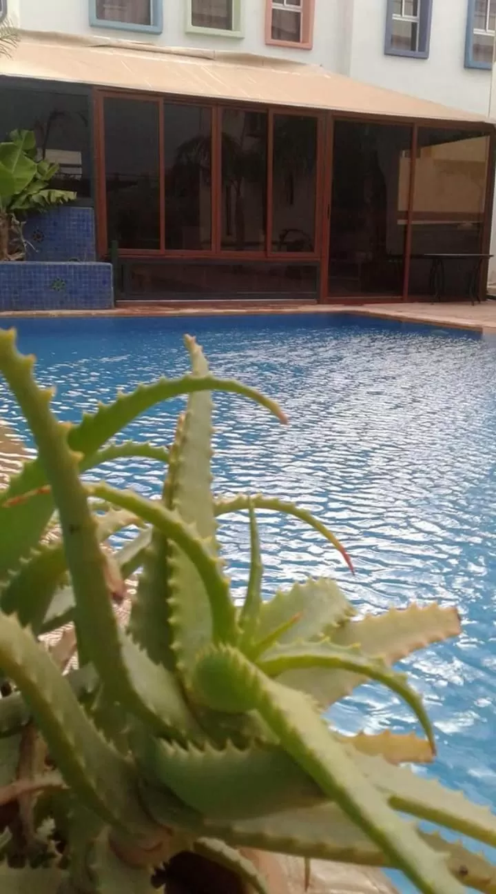 Swimming Pool in Riad Passiflora
