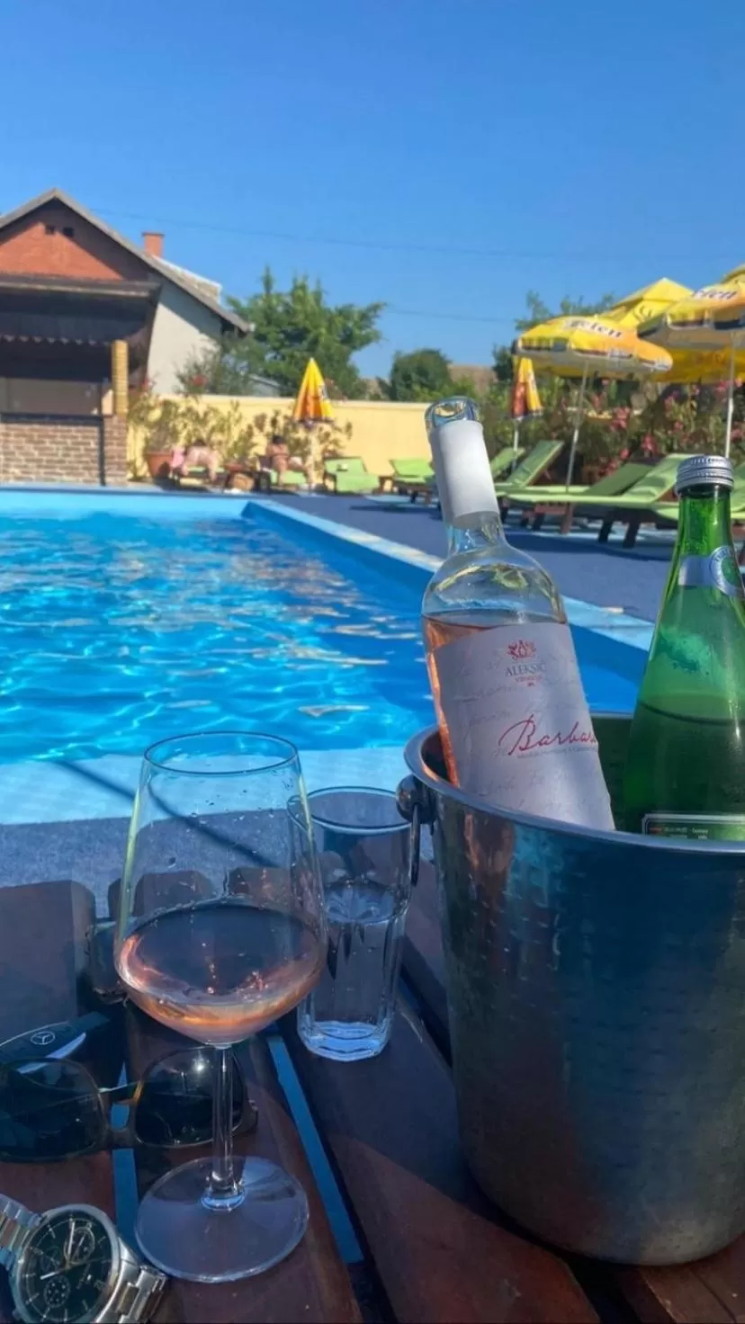Swimming Pool in Garden House