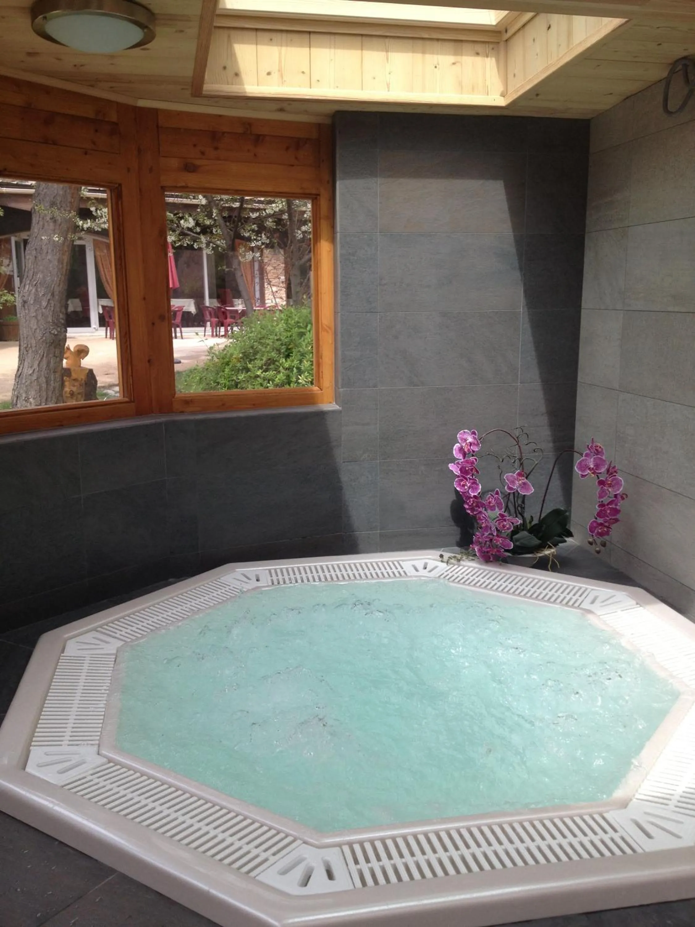 Spa and wellness centre/facilities in Logis Hotel Le Lac