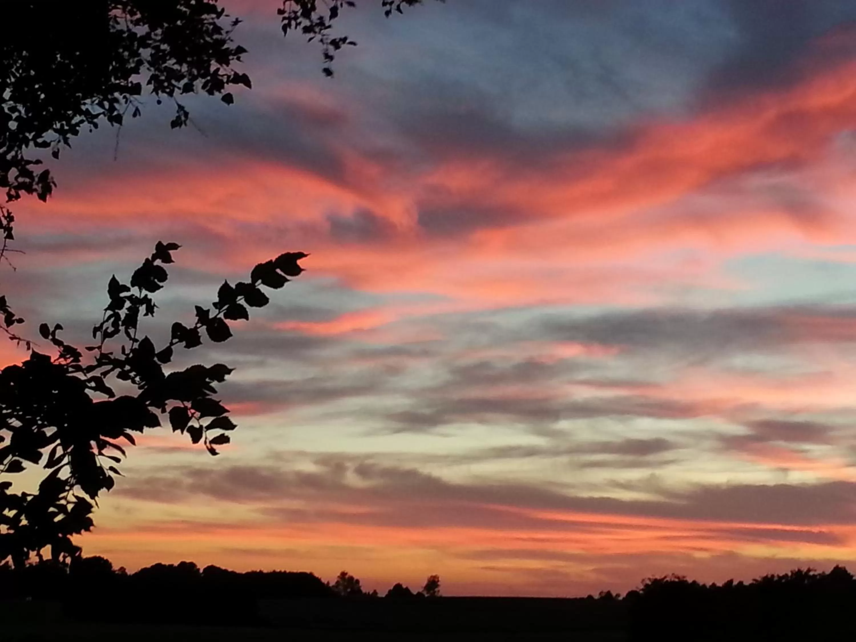 Natural landscape, Sunrise/Sunset in Roskilde B&B