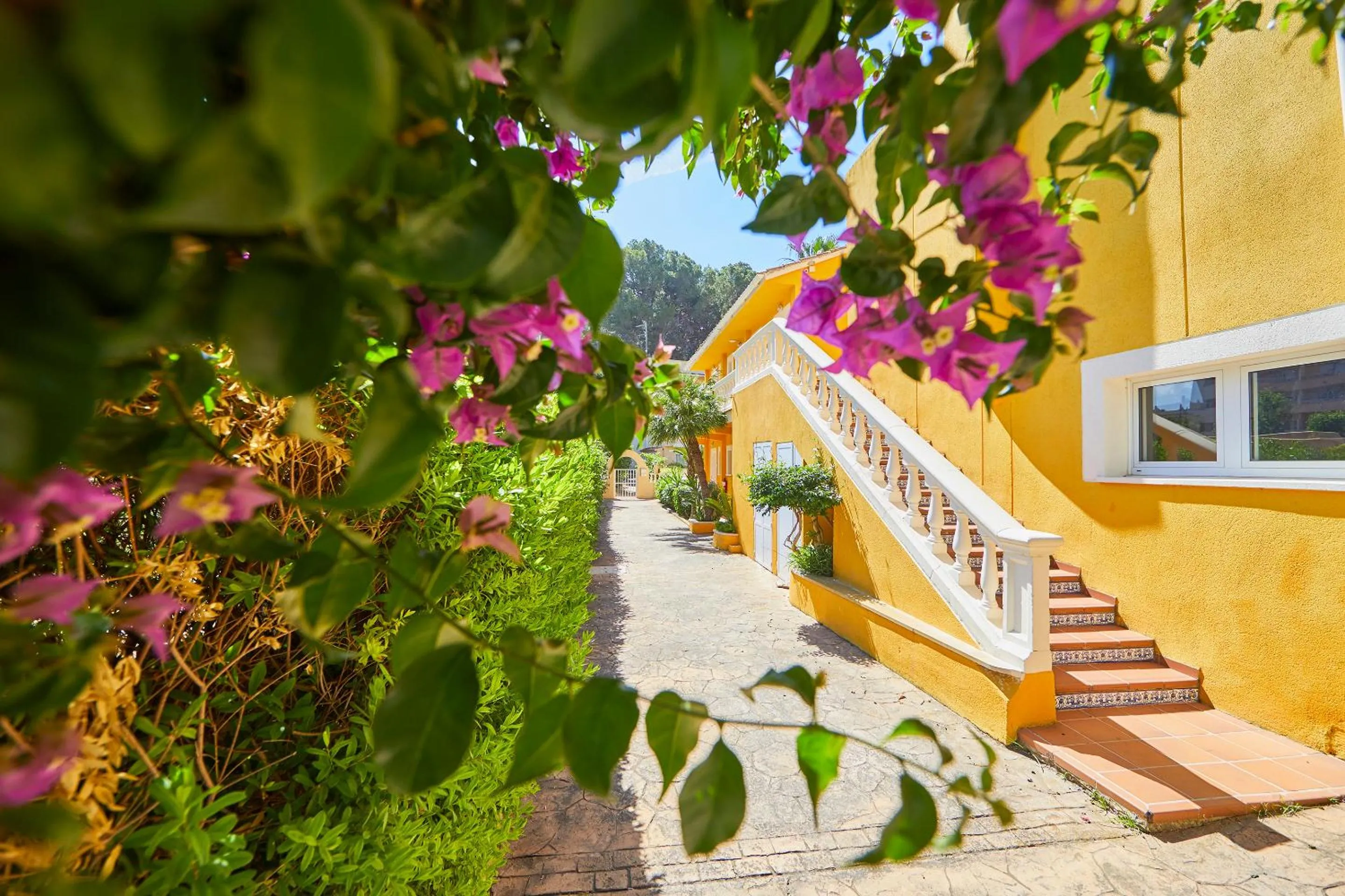 Property building in Hotel Cupidor