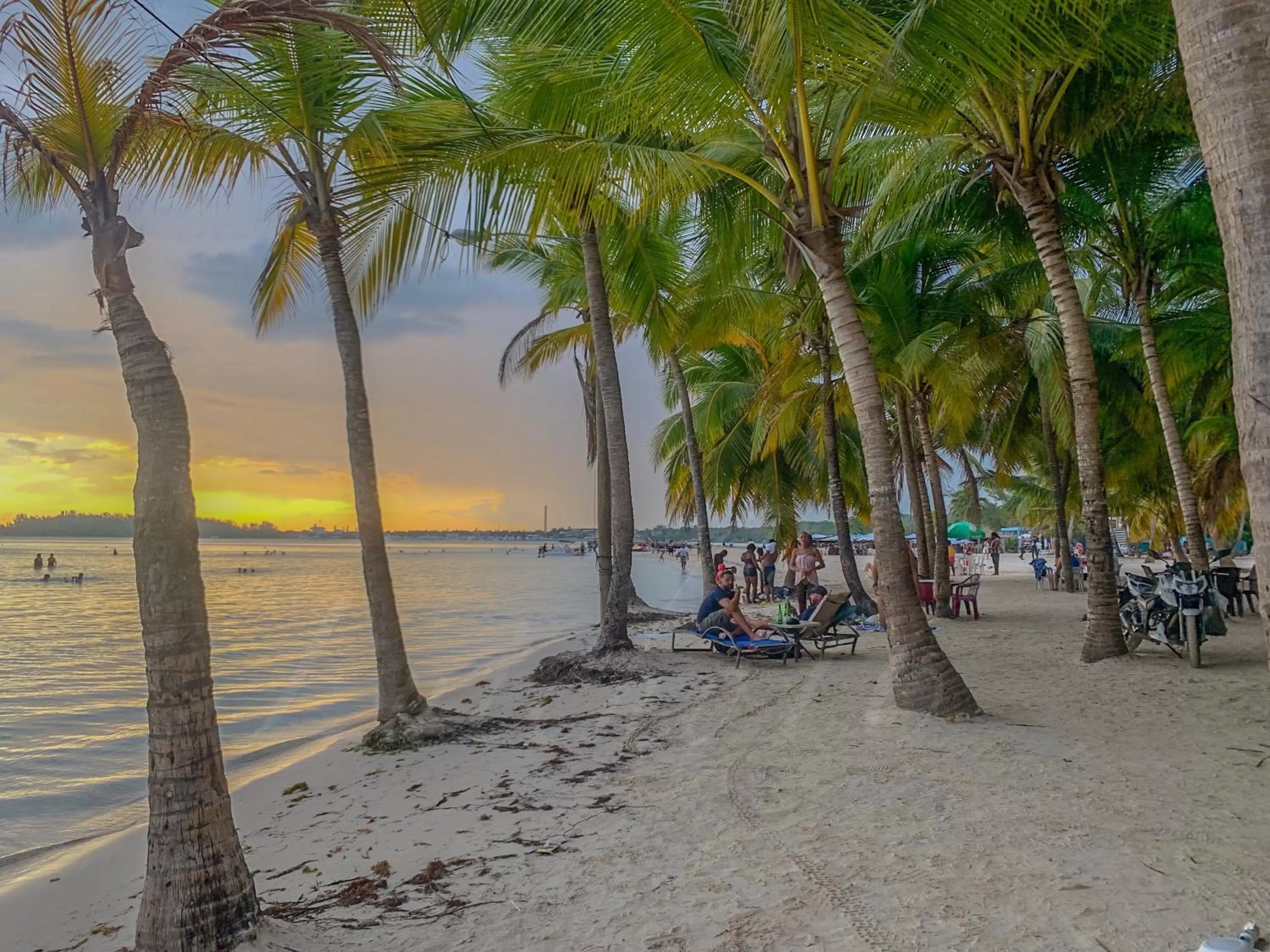 Beach in Calypso Beach Hotel by The Urbn House Santo Domingo Airport