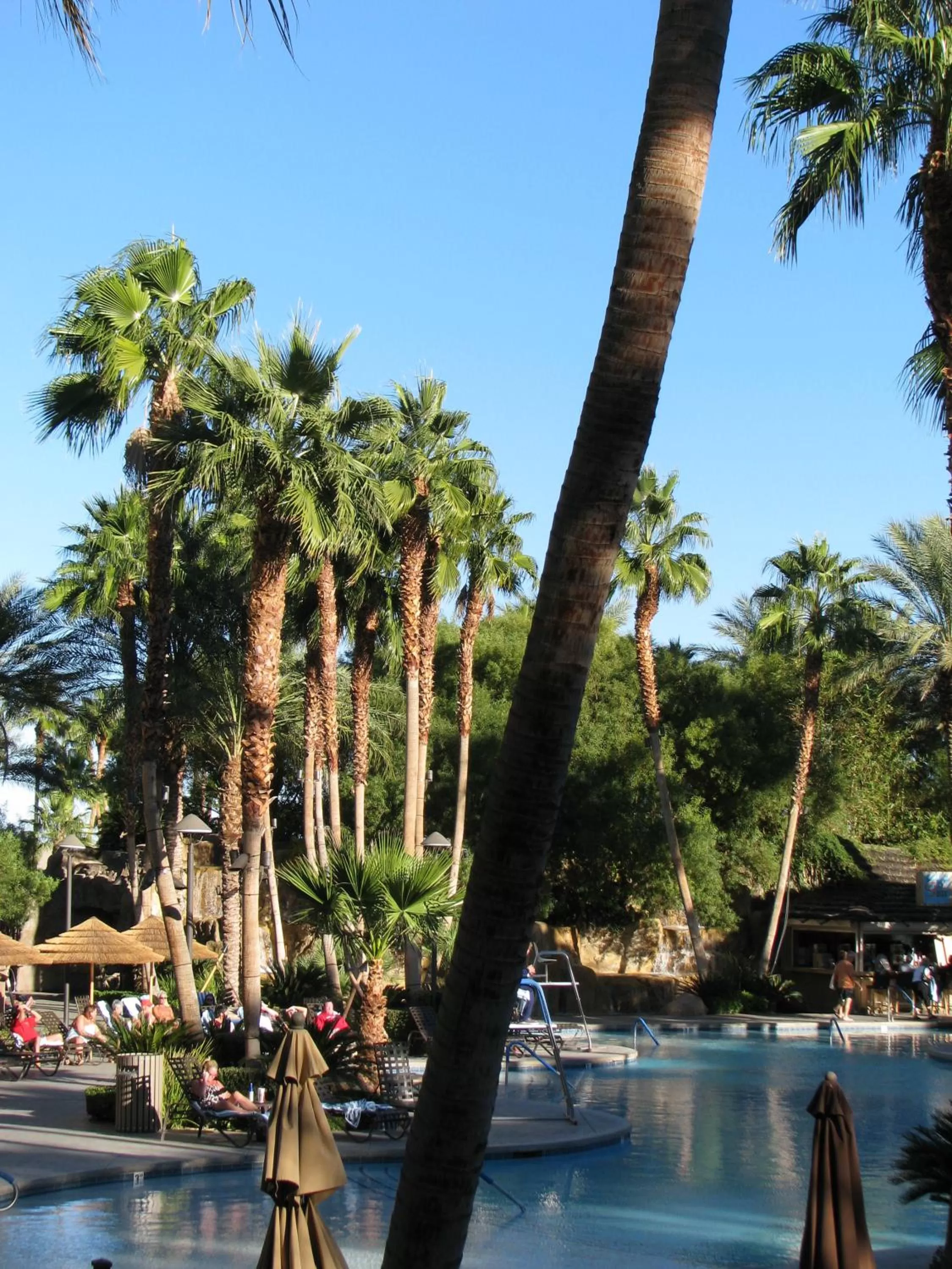 Swimming Pool in Suites at Tahiti Village Resort and Spa-No Resort Fee