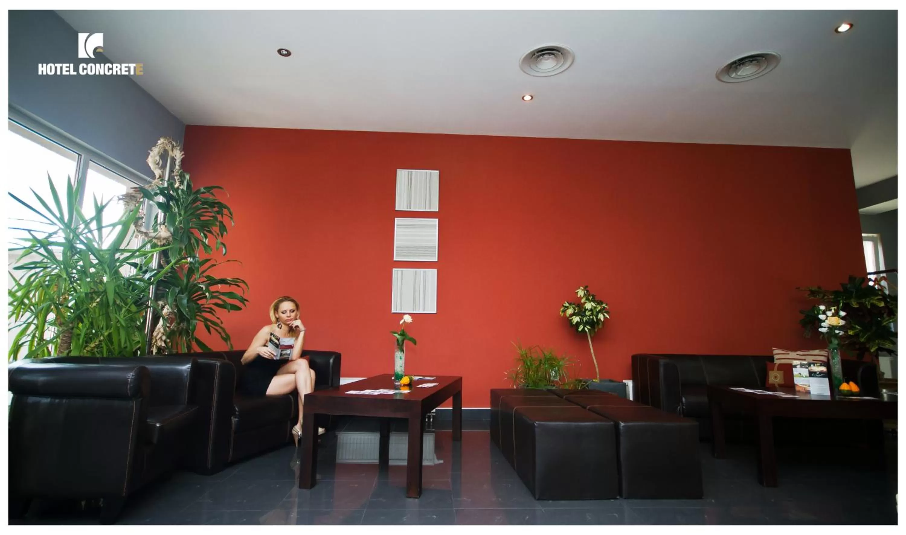 Lobby or reception, Lobby/Reception in Hotel Concrete