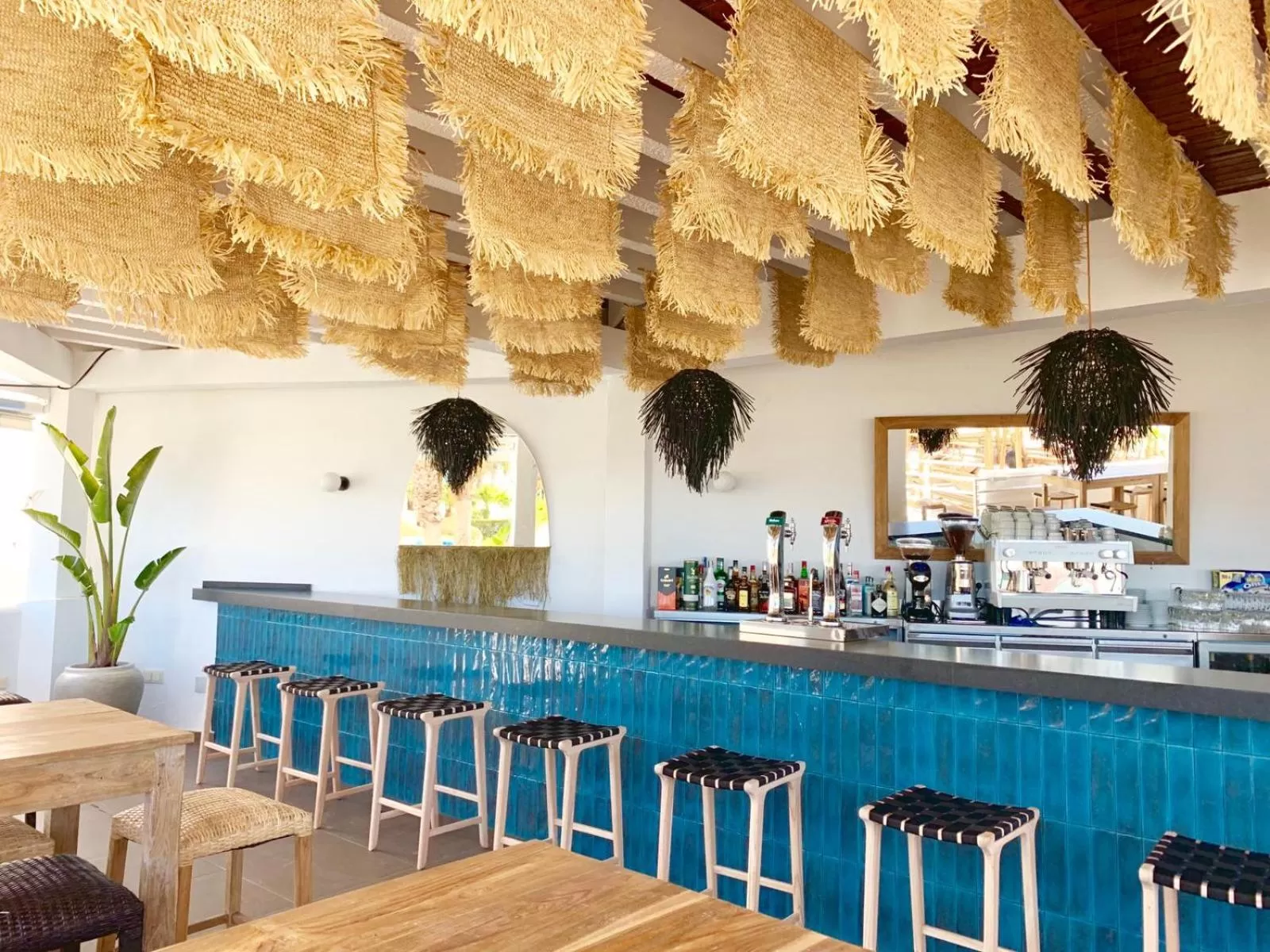 Area and facilities in FERGUS Conil Park