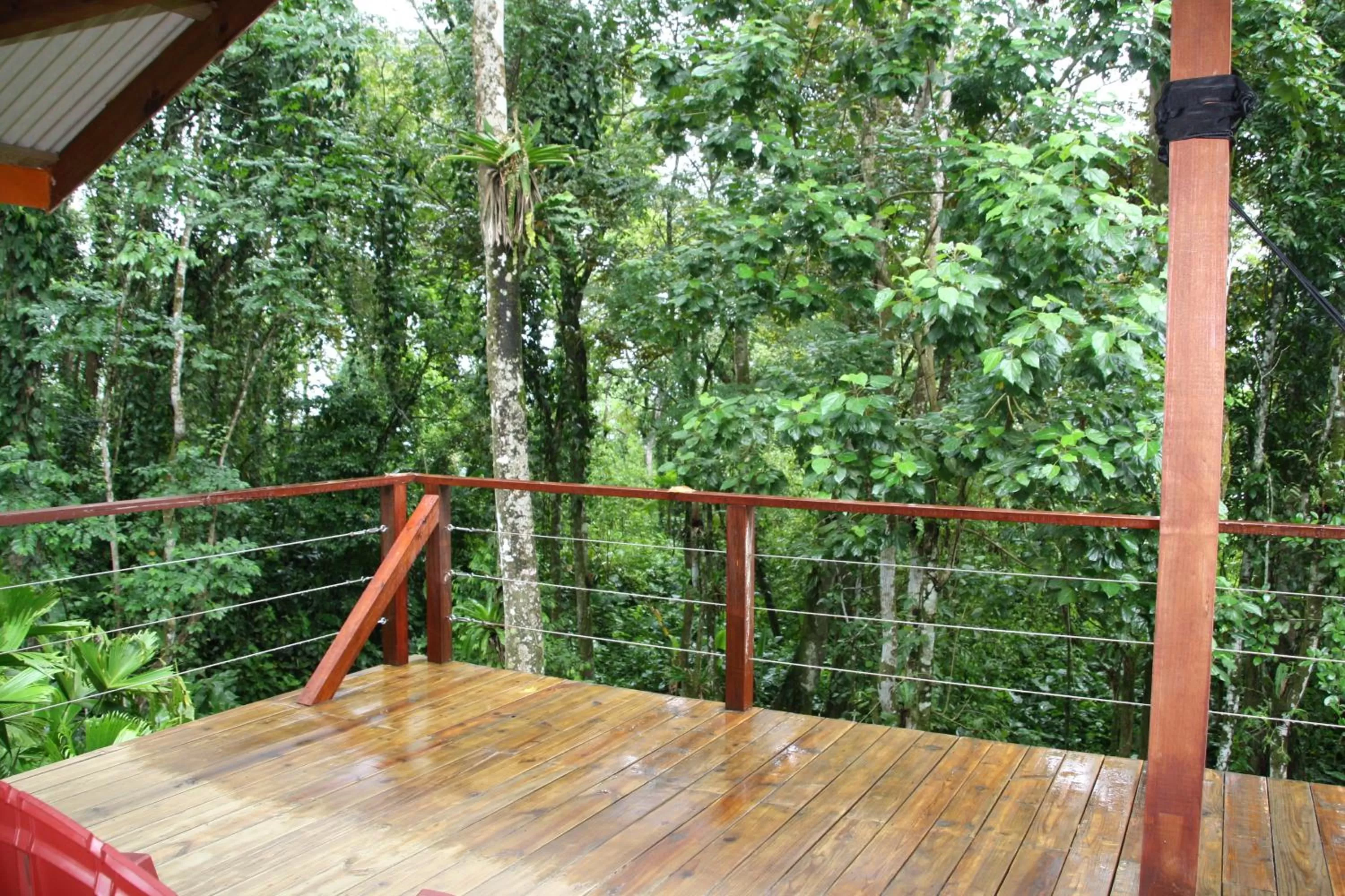 View (from property/room), Balcony/Terrace in Surf Break at Paunch