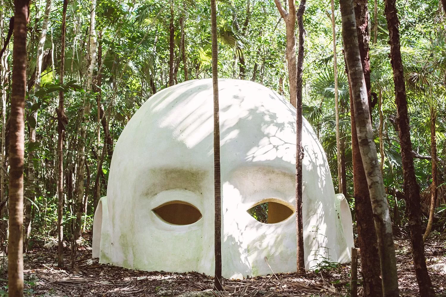 Activities in Hotel Holistika Tulum