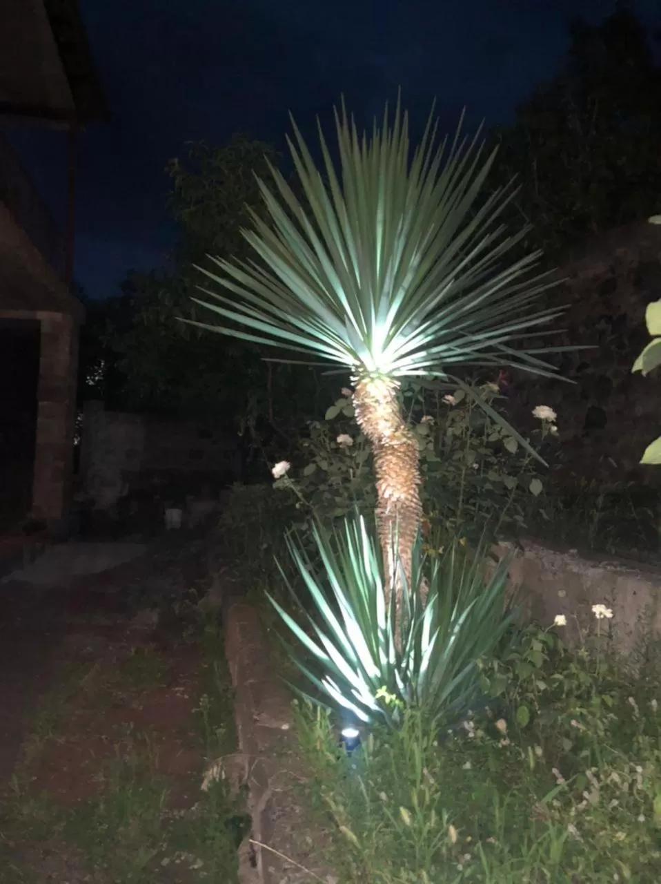 ApartHotel in Alaverdi