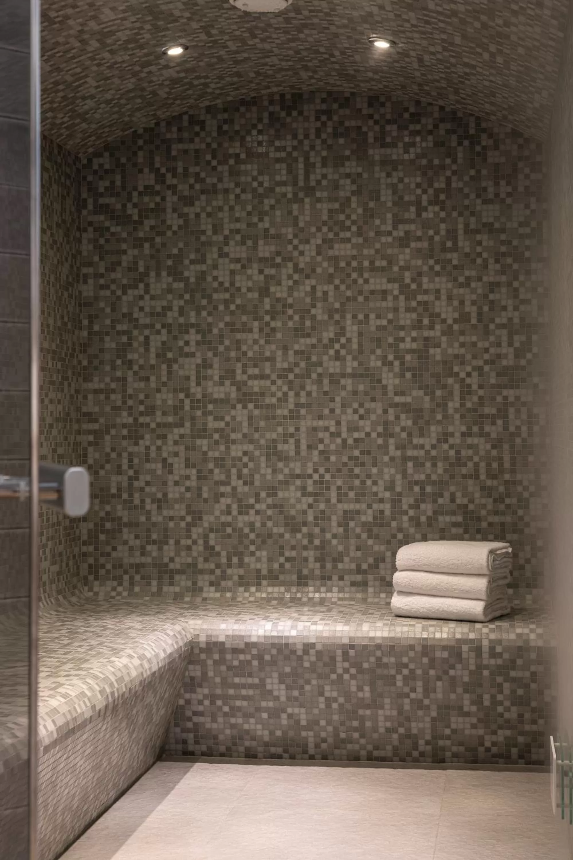 Steam room in Pullman Paris Centre - Bercy