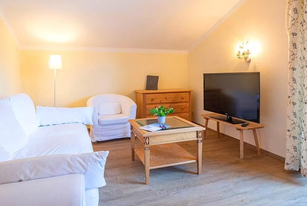 Living room, TV/Entertainment Center in Hotel Berlin Tegernsee