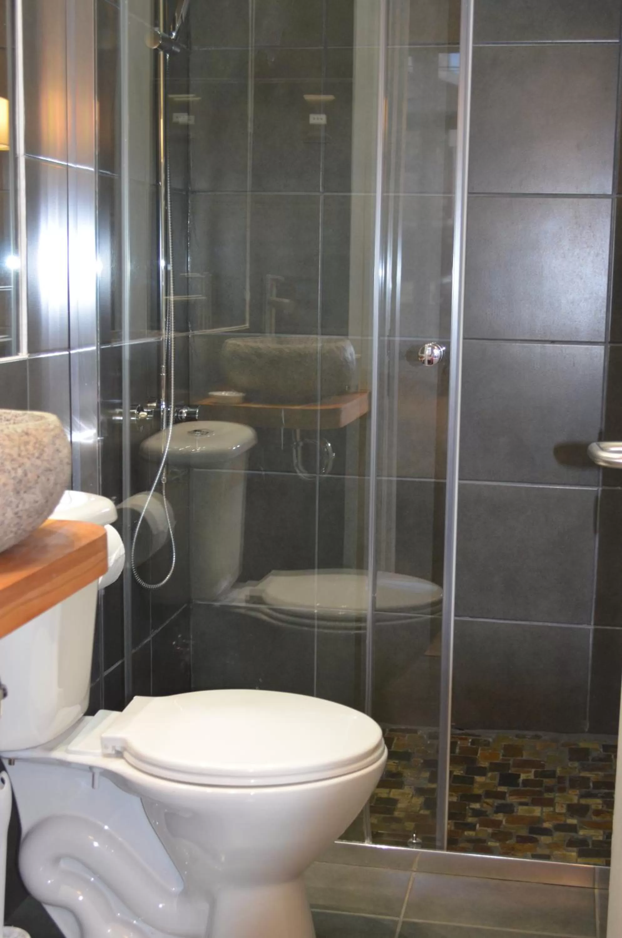 Shower in Hostal Boutique Puerta Roja