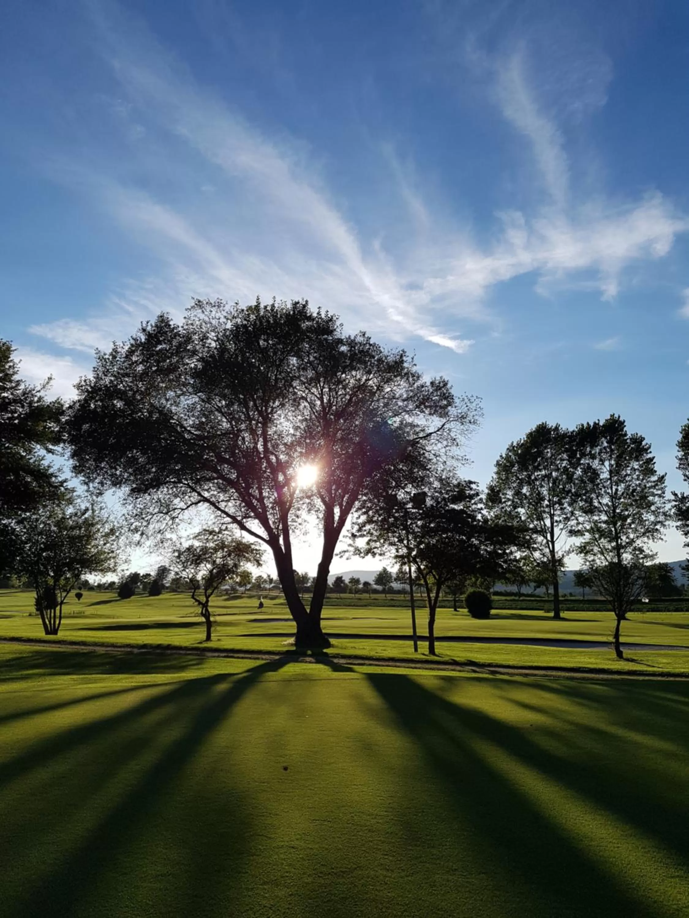 Natural landscape in Hotel Hausschachen