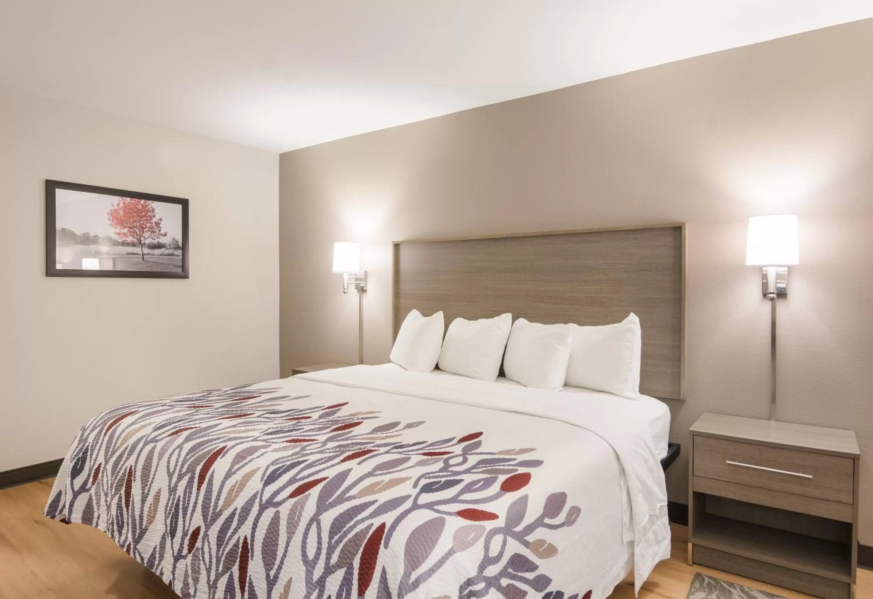 Photo of the whole room in Red Roof Inn Chester