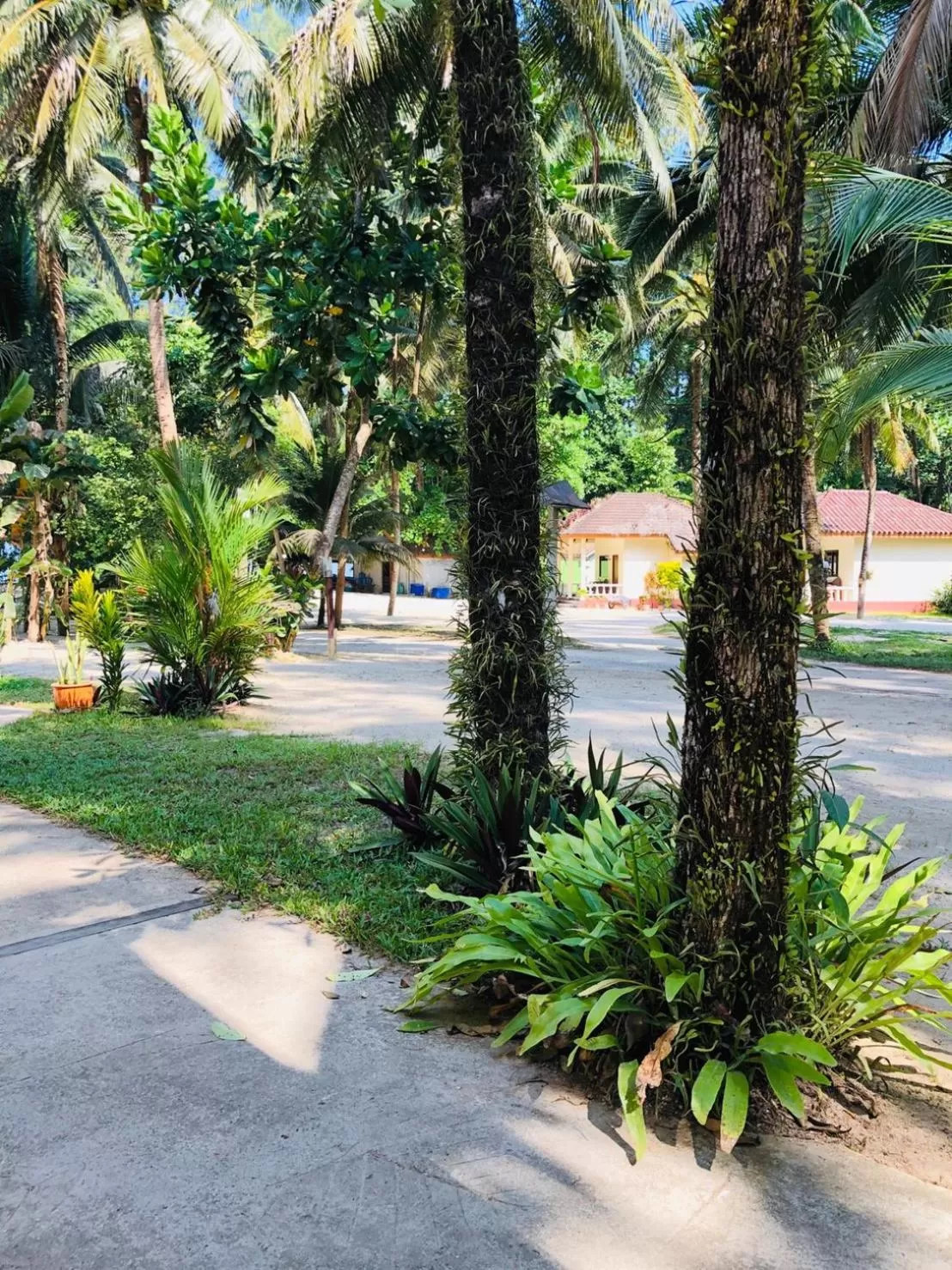 Garden in Ao Thong beach Bungalows