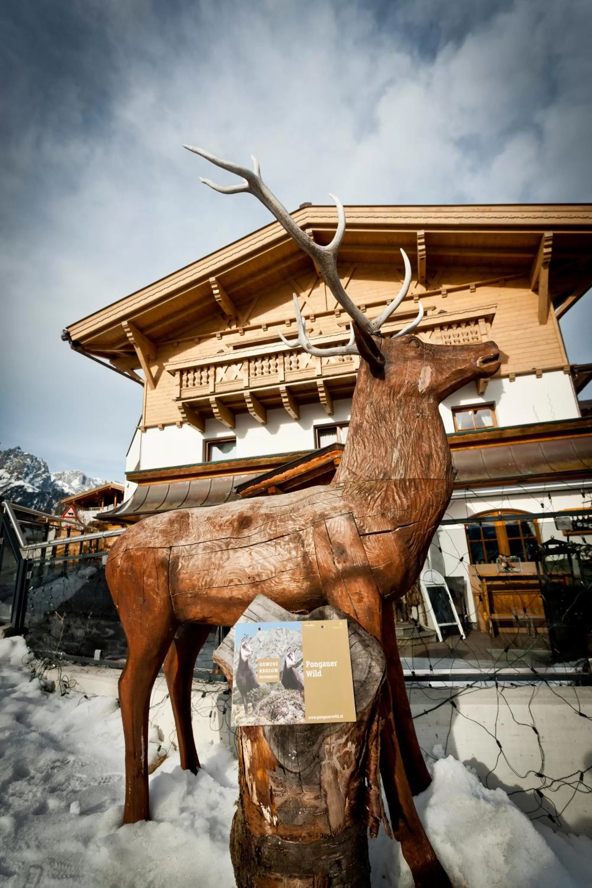 Winter in Hotel und Alpen Apartments - Bürglhöh