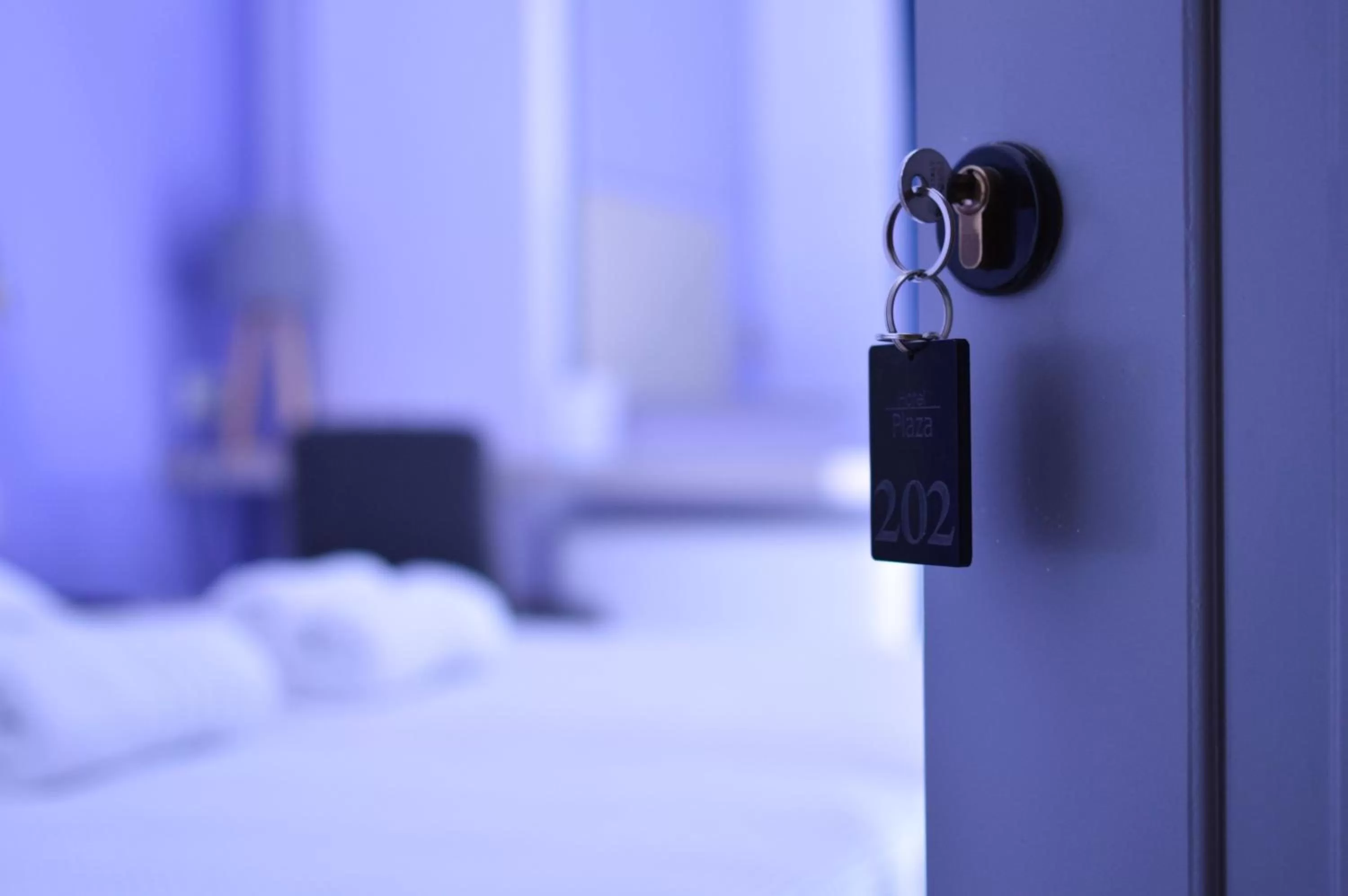 Bedroom, Bed in Hotel Plaza