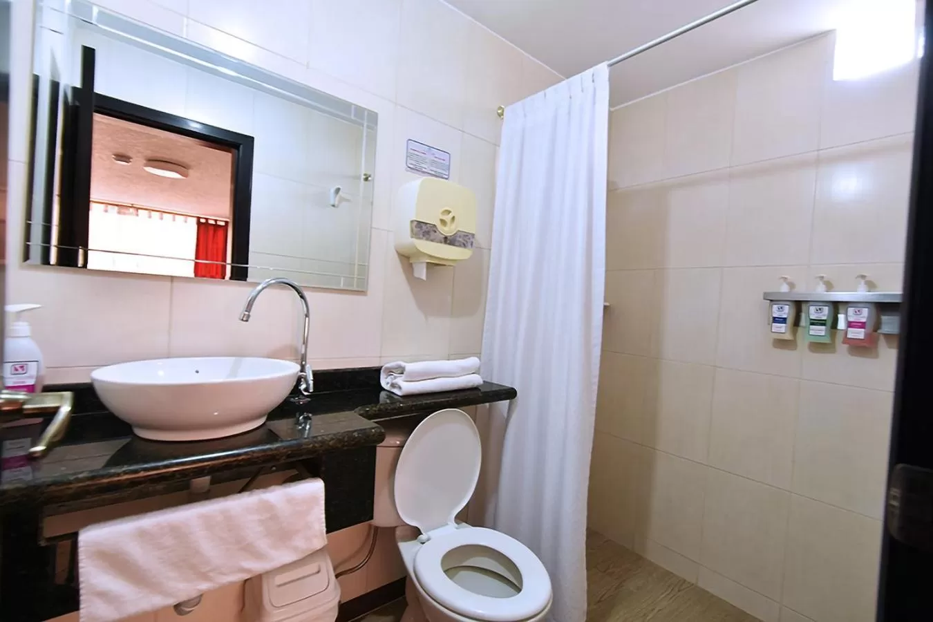 Bathroom in Hotel Plaza Victoria