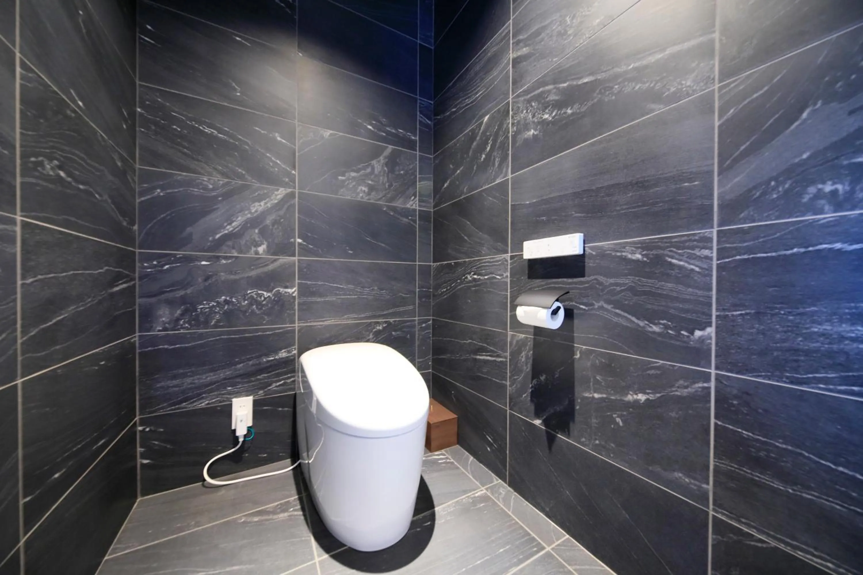 Toilet in Fuji Onsenji Yumedono