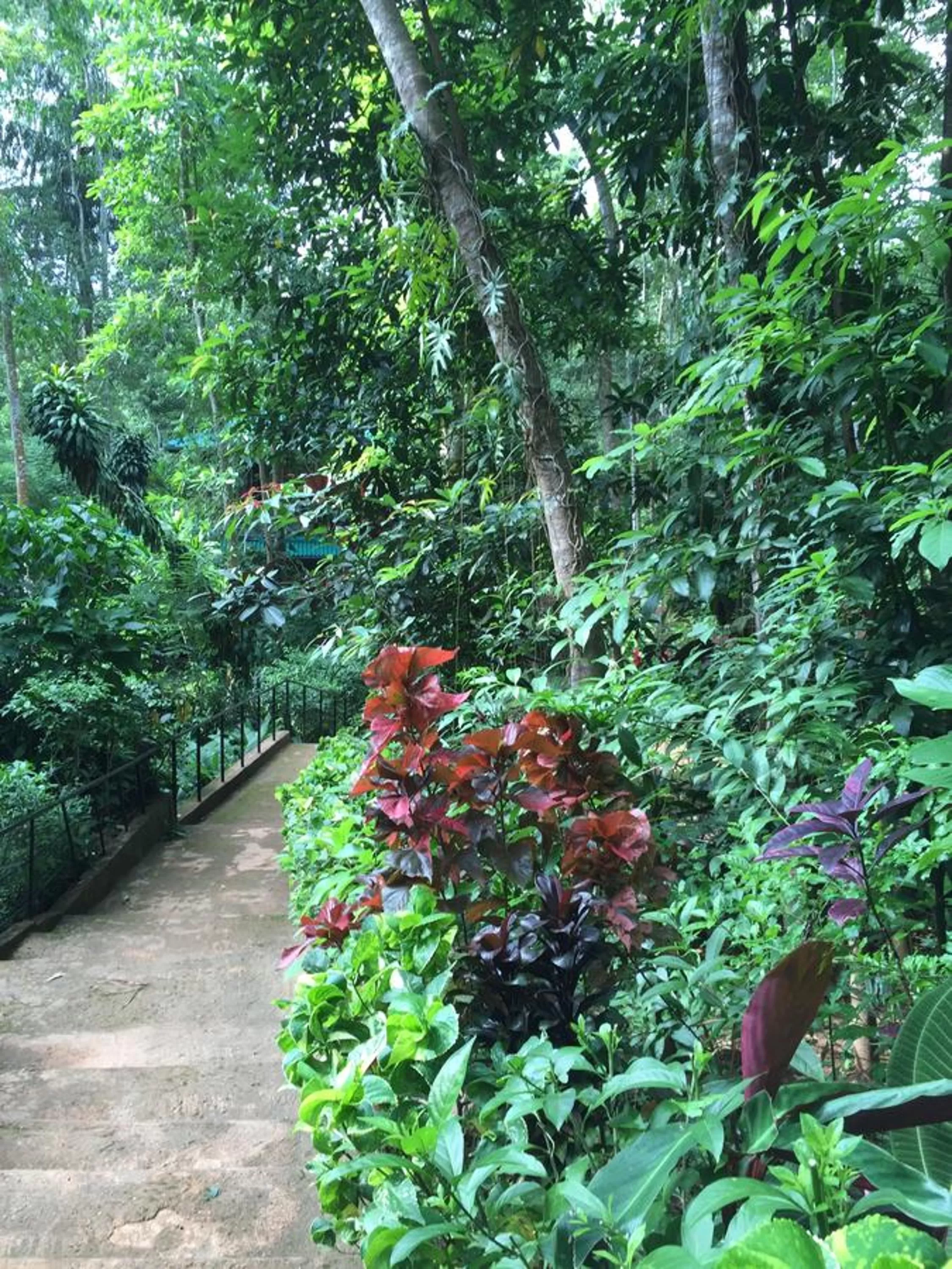 Property building, Garden in Le leopard d 'argent