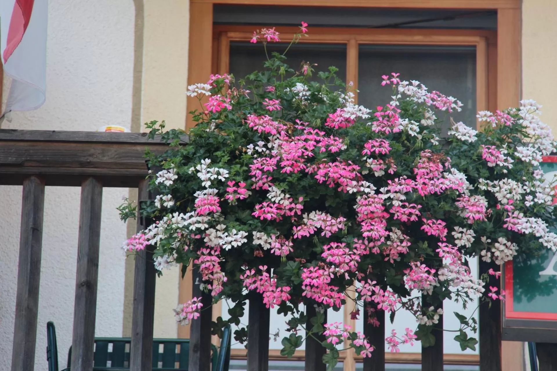 Summer in Hotel Aschauer Hof z'Fritzn