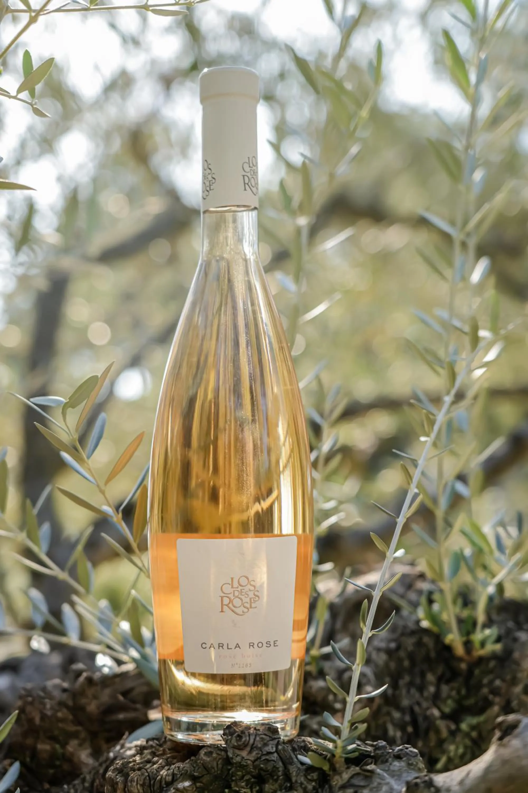 Alcoholic drinks in La Bastide Du Clos des Roses - Teritoria