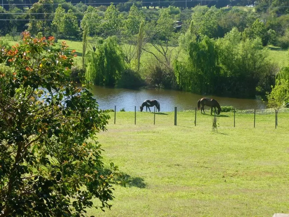 Natural landscape in Hotel La Castellana