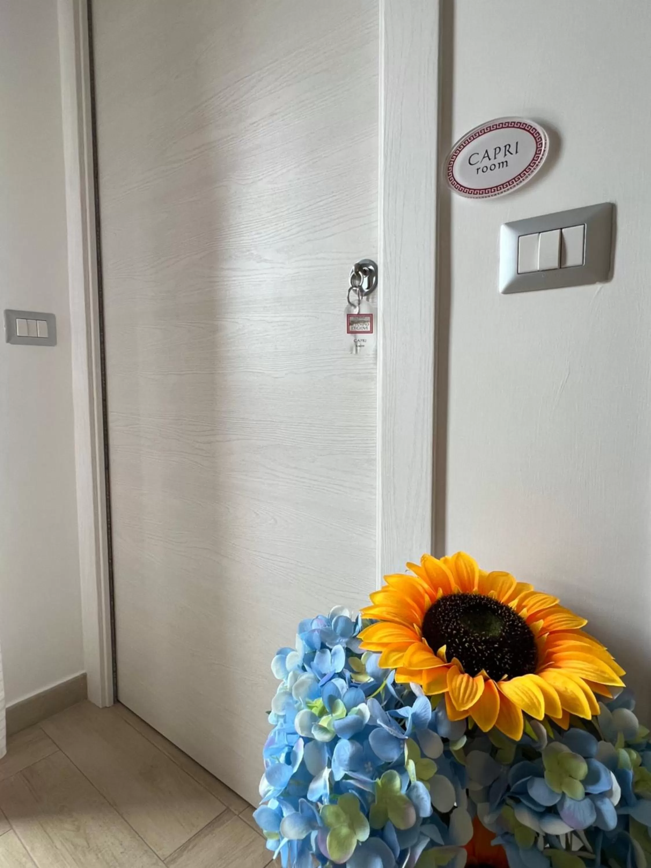 Il Tempio Di Giove Suite