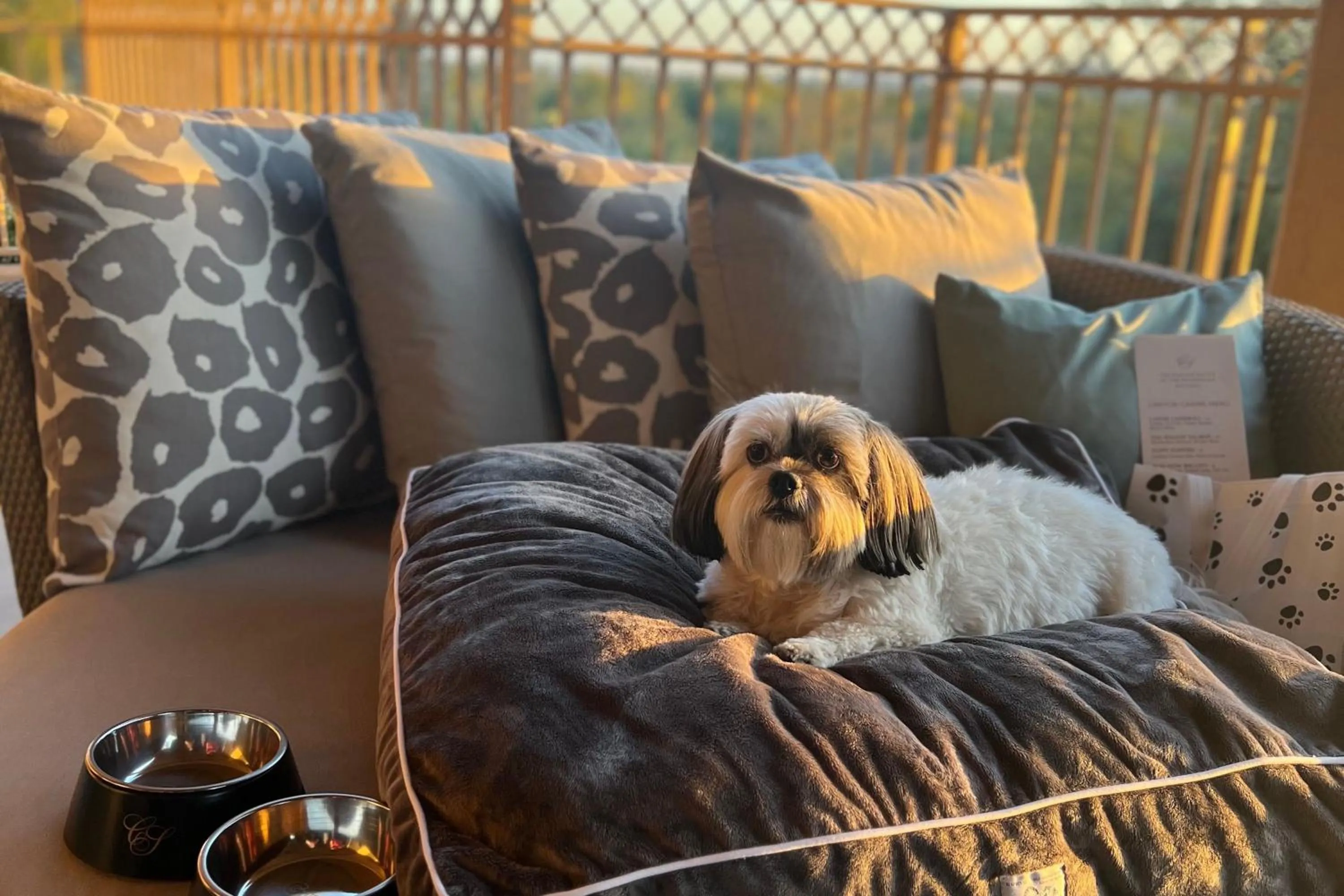 Other in The Canyon Suites at The Phoenician, a Luxury Collection Resort, Scottsdale