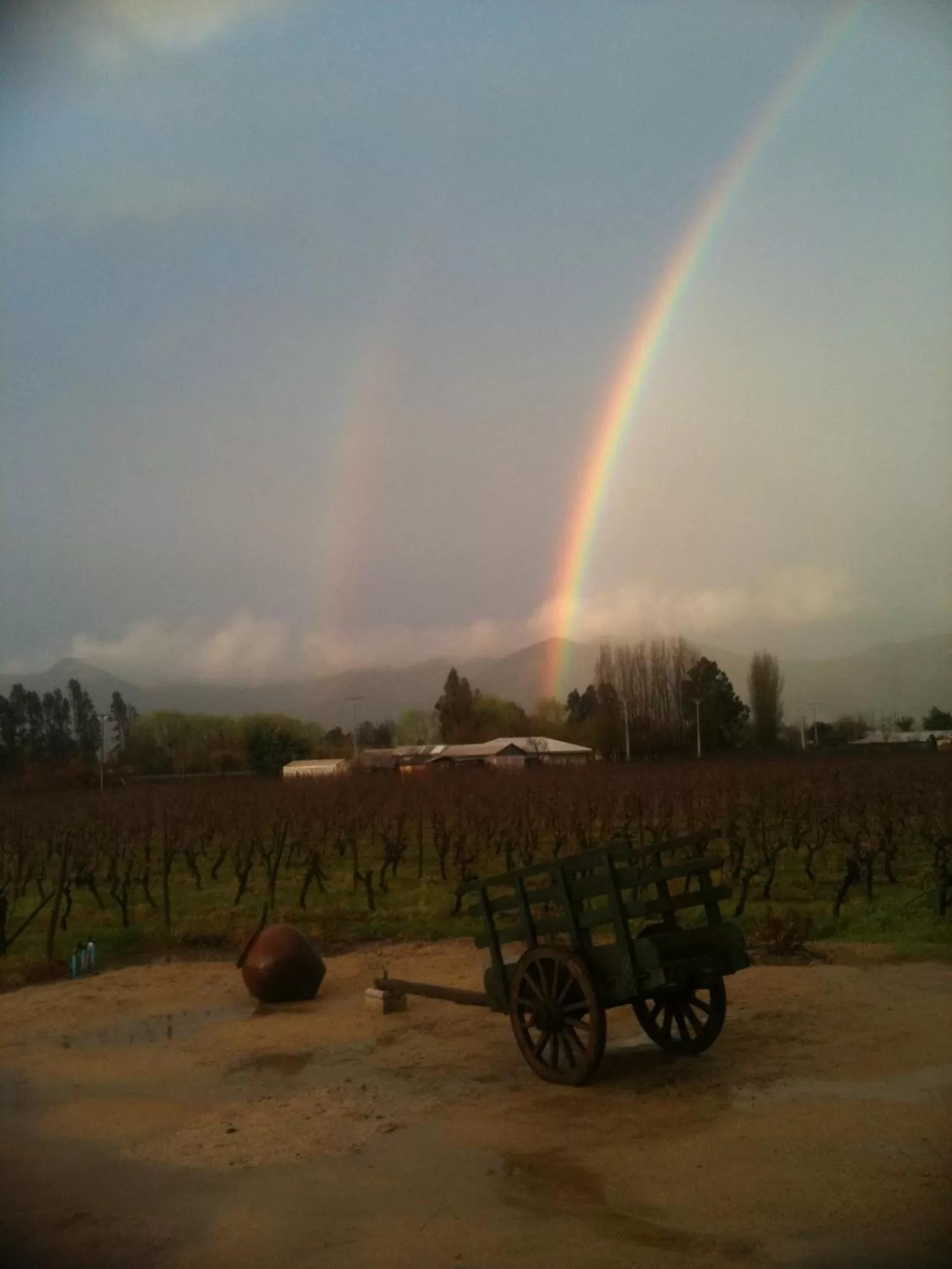 Decorative detail in Hotel Terraviña