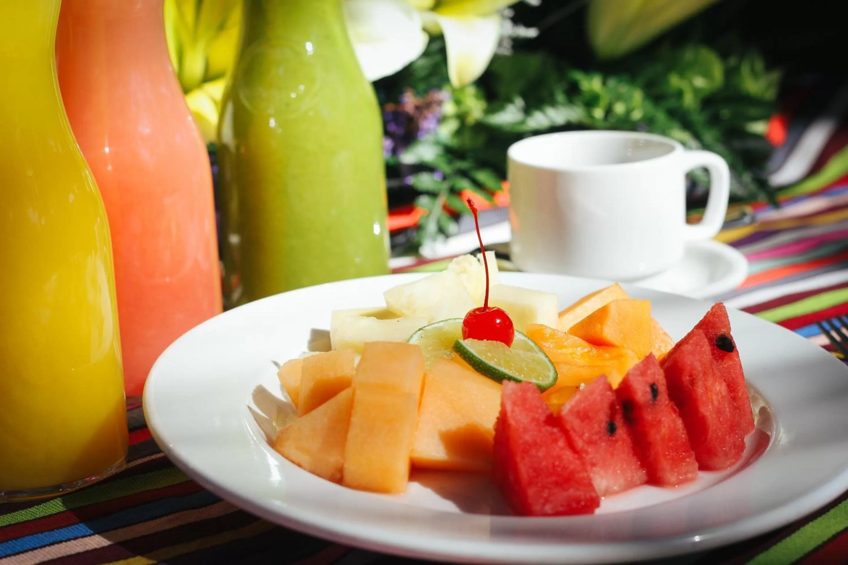 Food and drinks in Hotel Palmareca