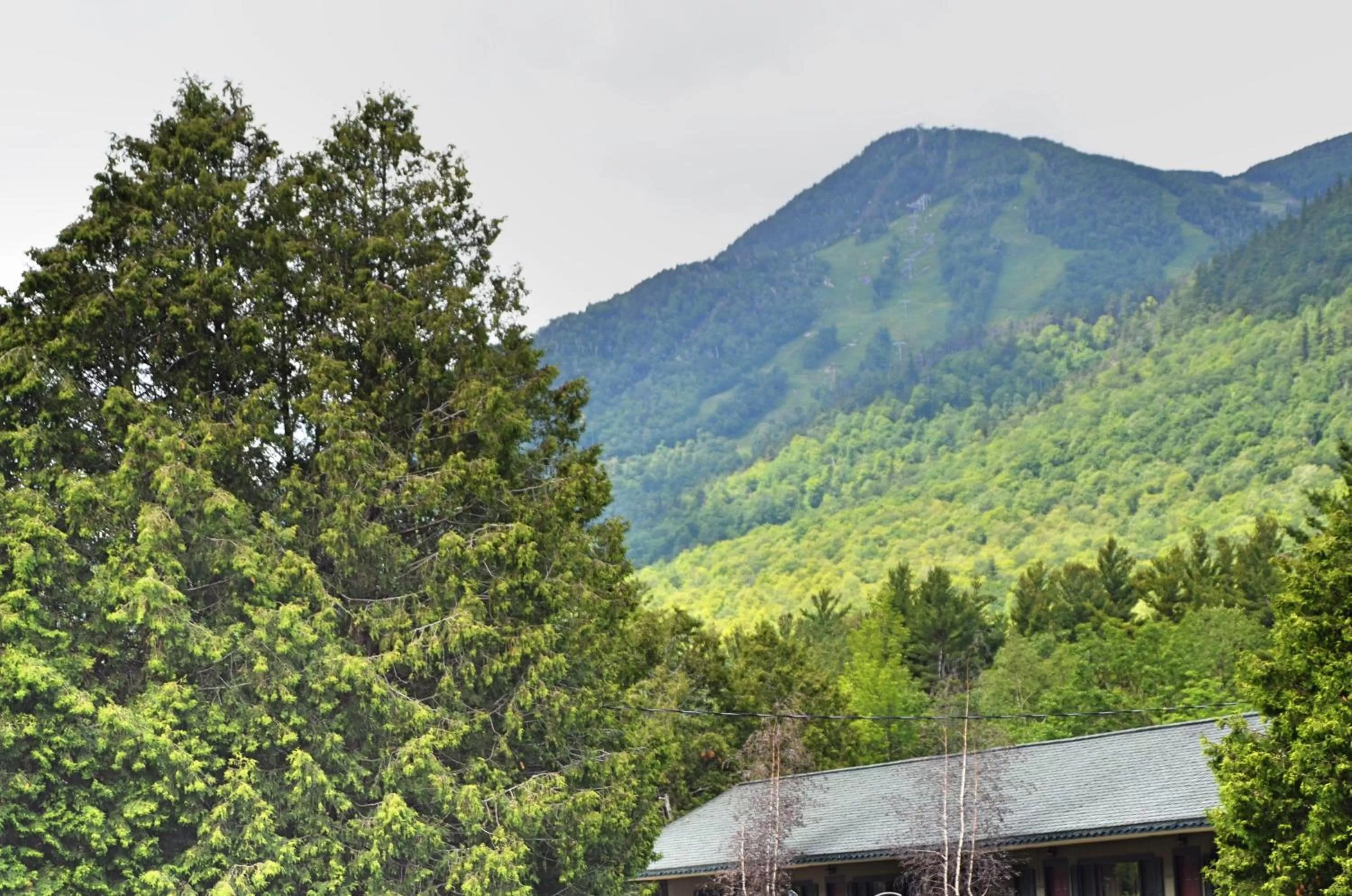 Mountain view in Hungry Trout Resort