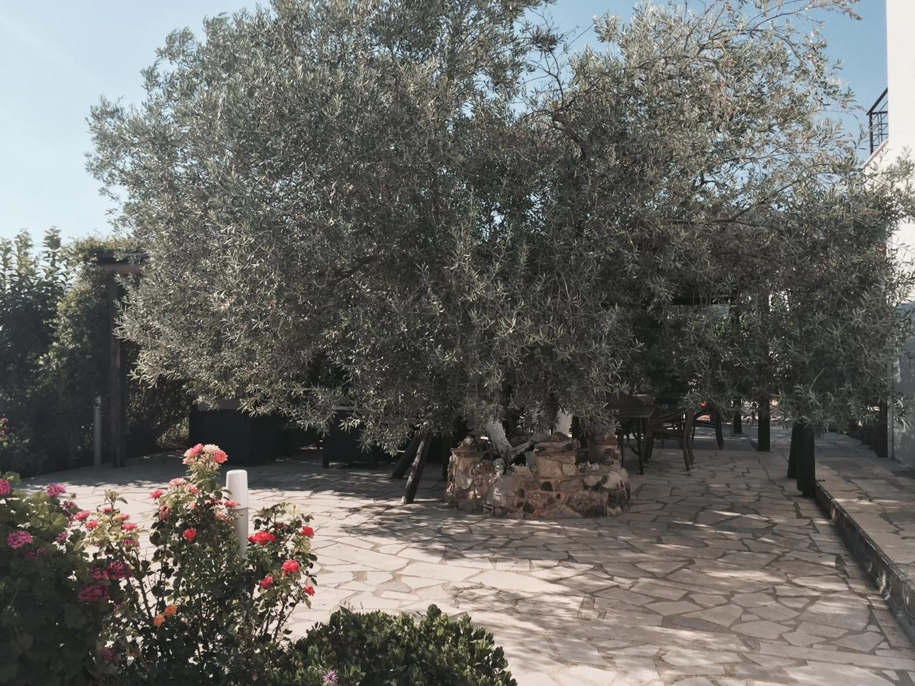 Property building in Hani Inn