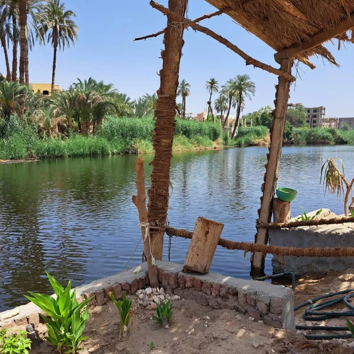Lake View in Luxor Old Nile Hotel