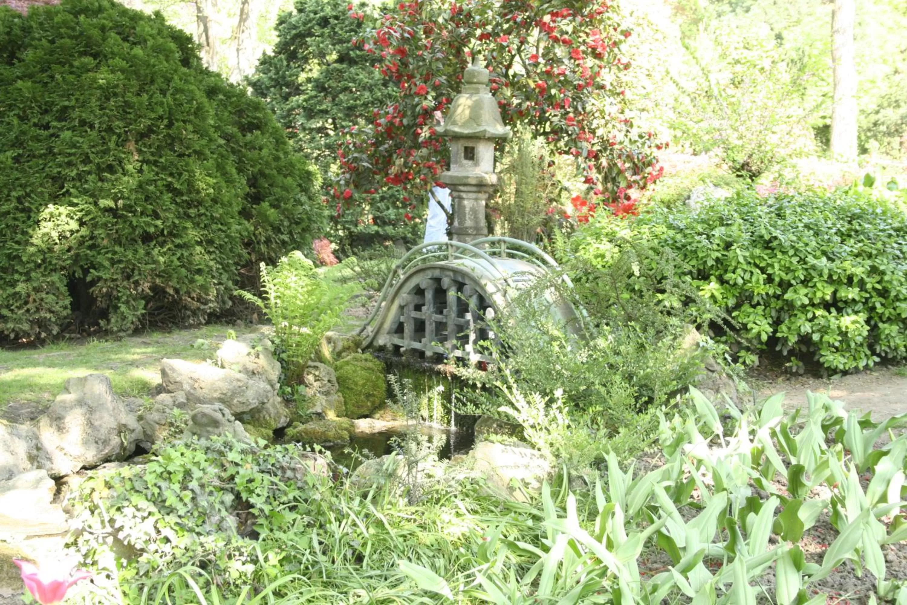 Garden in Kasino Hotel