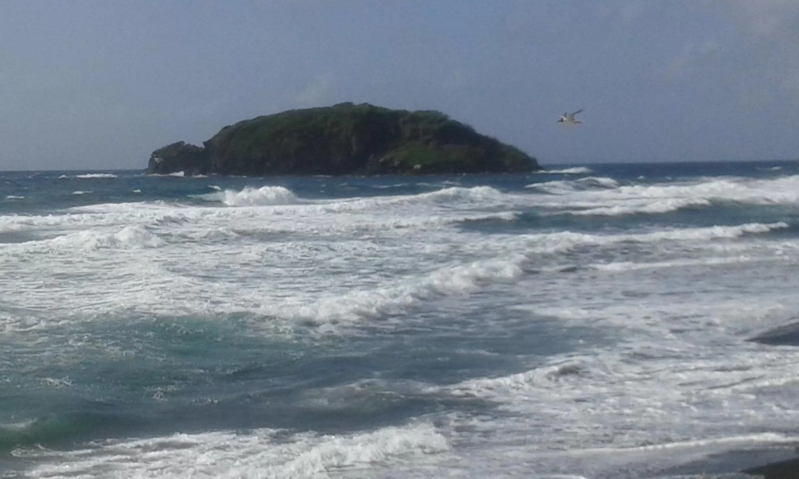 Natural landscape in The Milligan