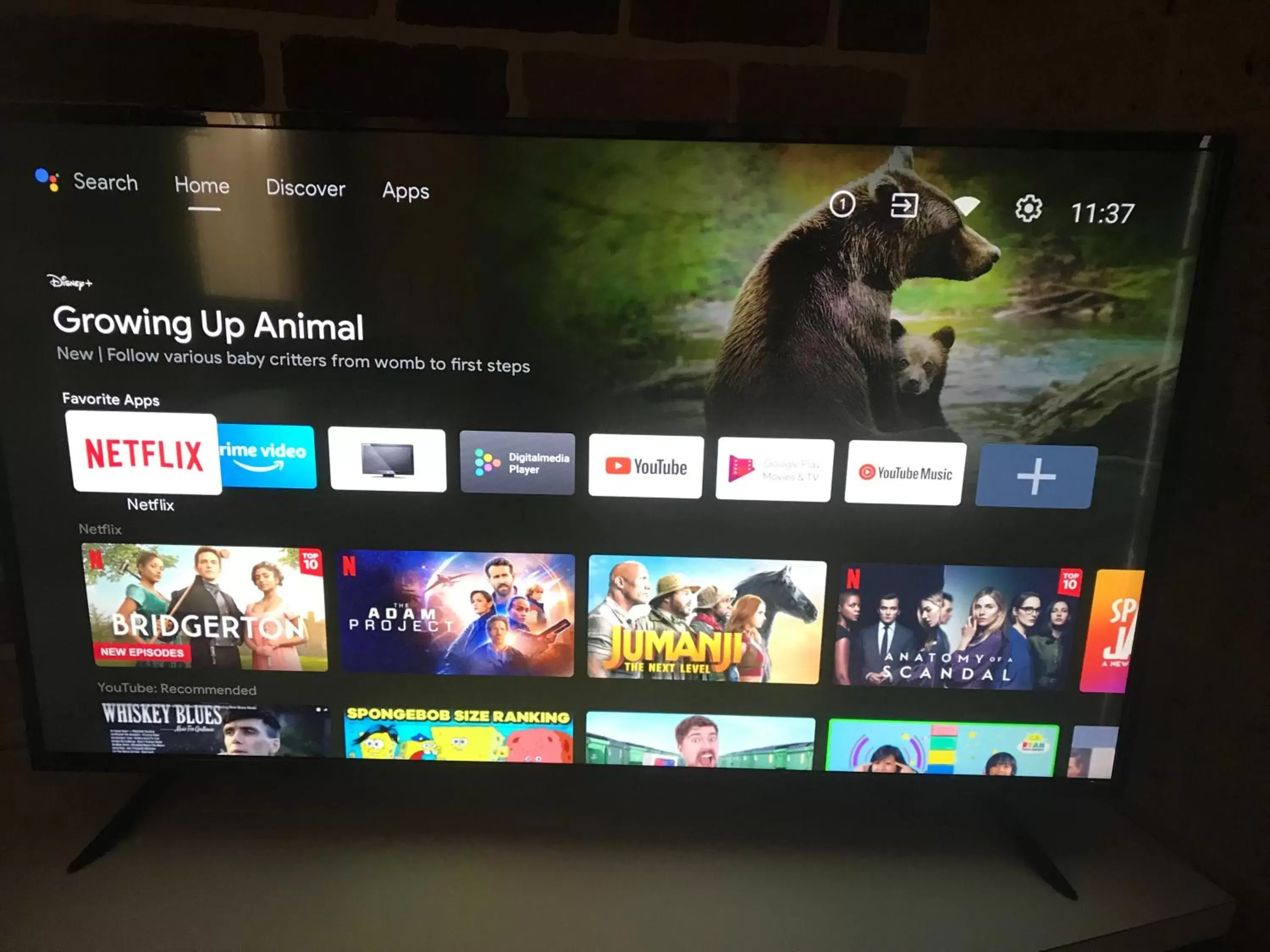 Executive Suite with Spa Bath in Cedar Lodge Motel Executive Suite with Spa Bath in Cedar Lodge Motel