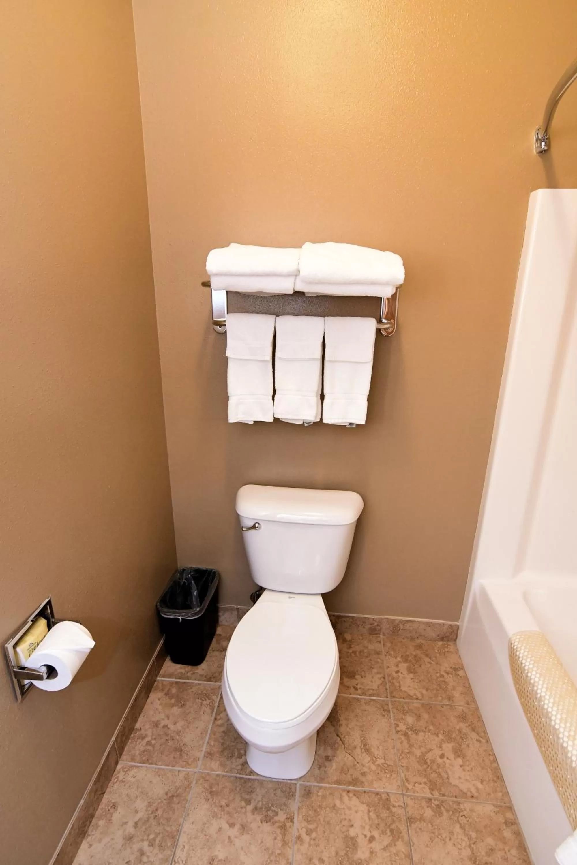Toilet in Cobblestone Inn & Suites - Denison | Majestic Hills