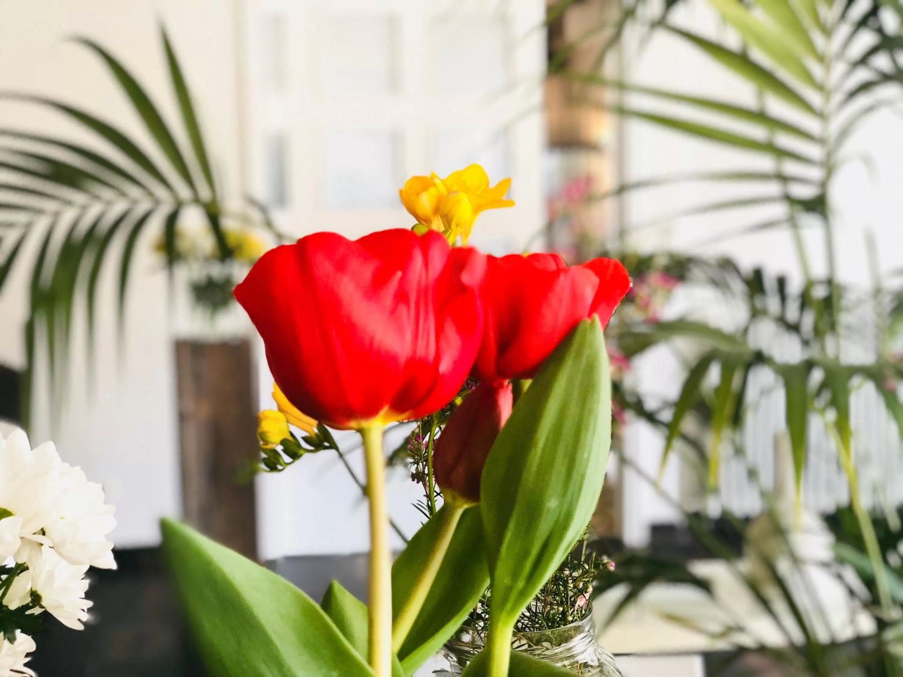 Area and facilities in Hotel & Restaurant Figueres Parc