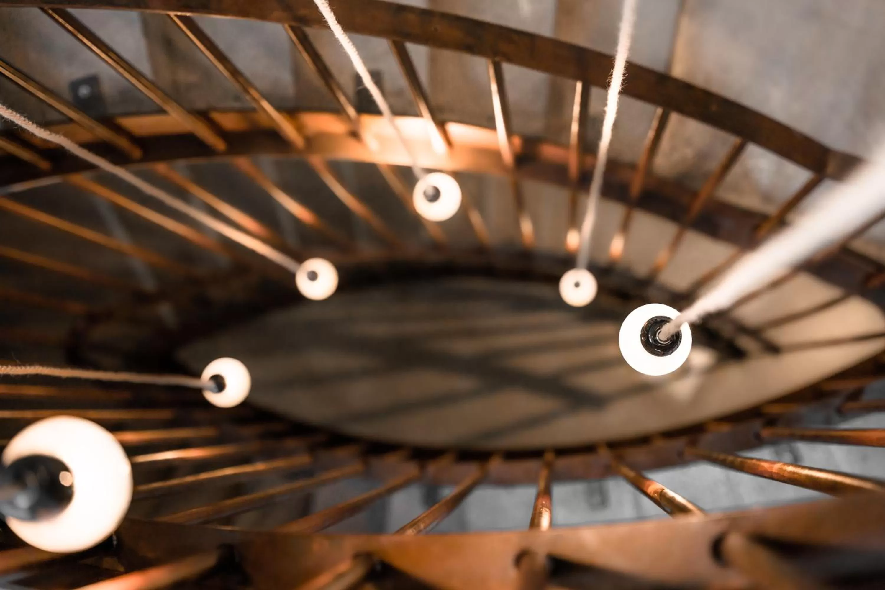 Decorative detail in Cavallestro Deluxe