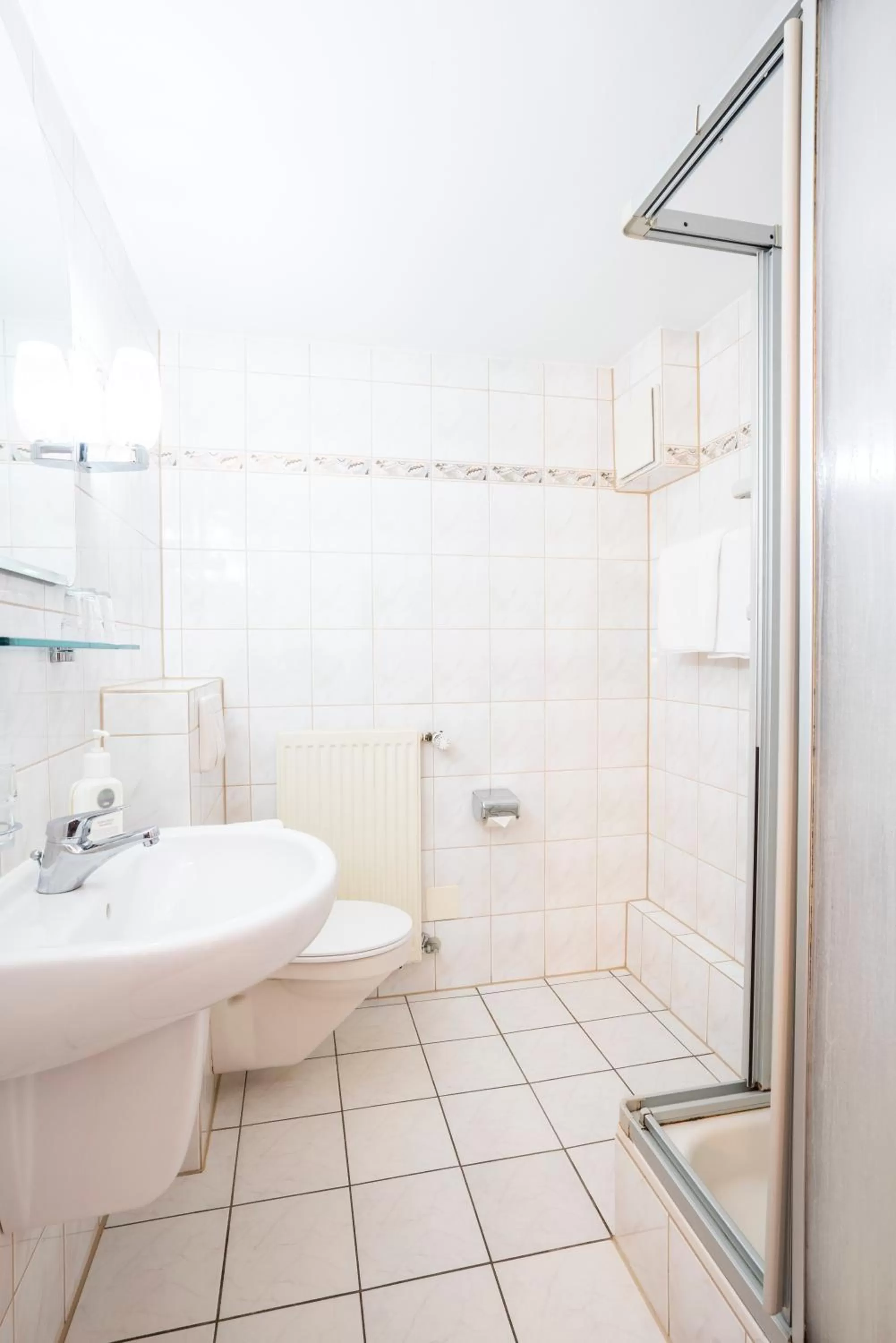 Bathroom in Bamberg Inn