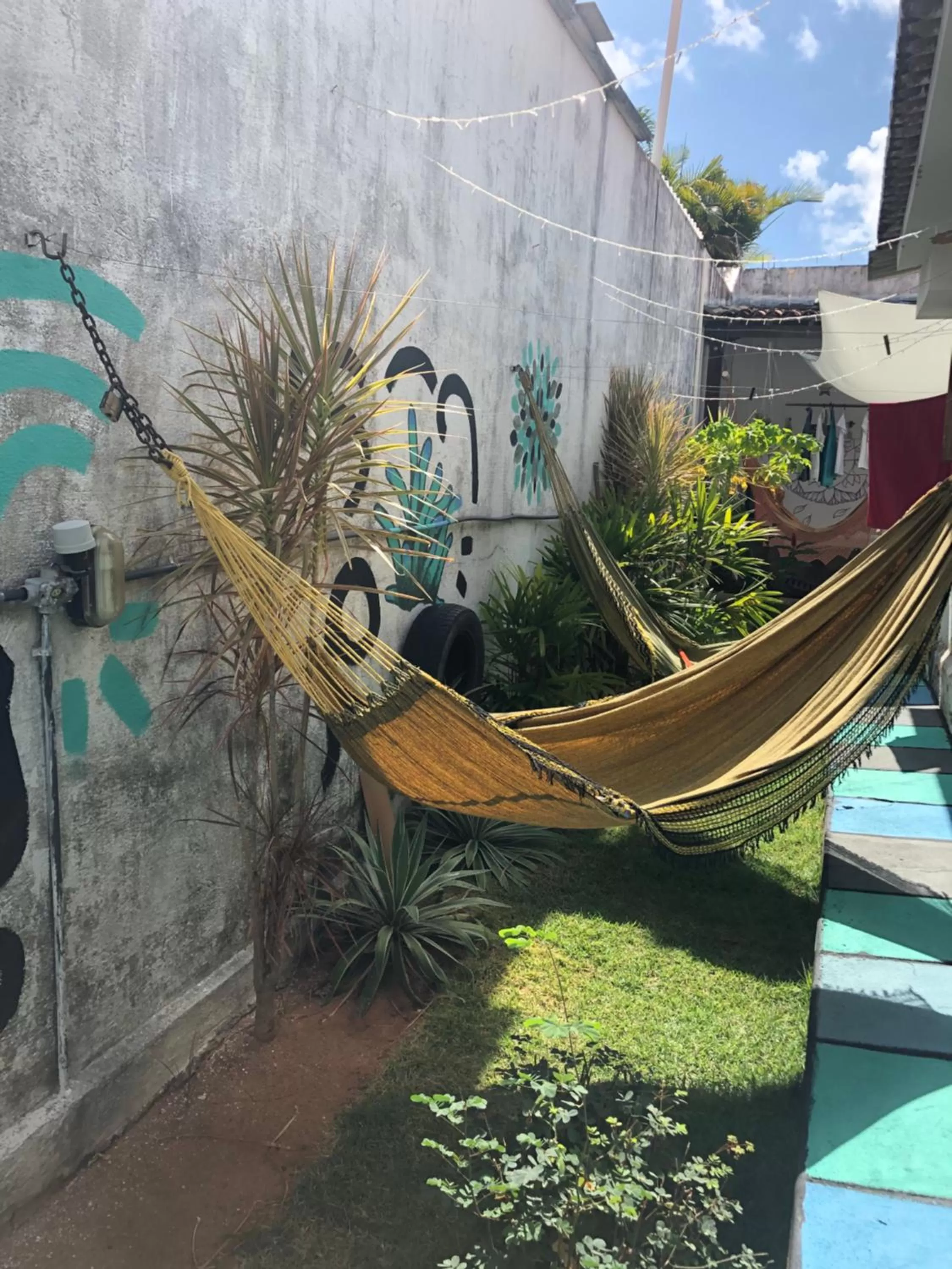 Patio in Hostel Das Canárias