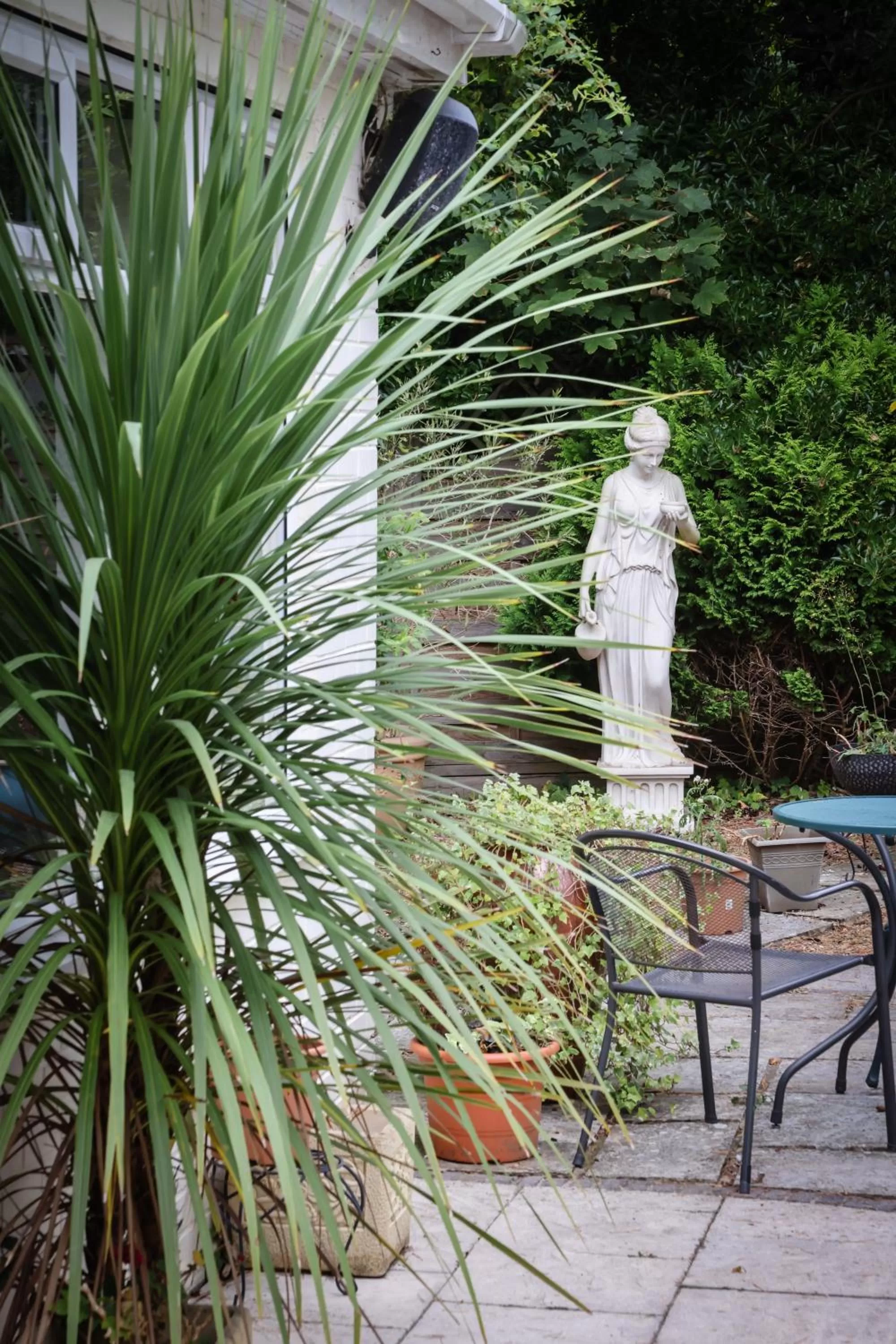 Garden view in The Mayfair Hotel